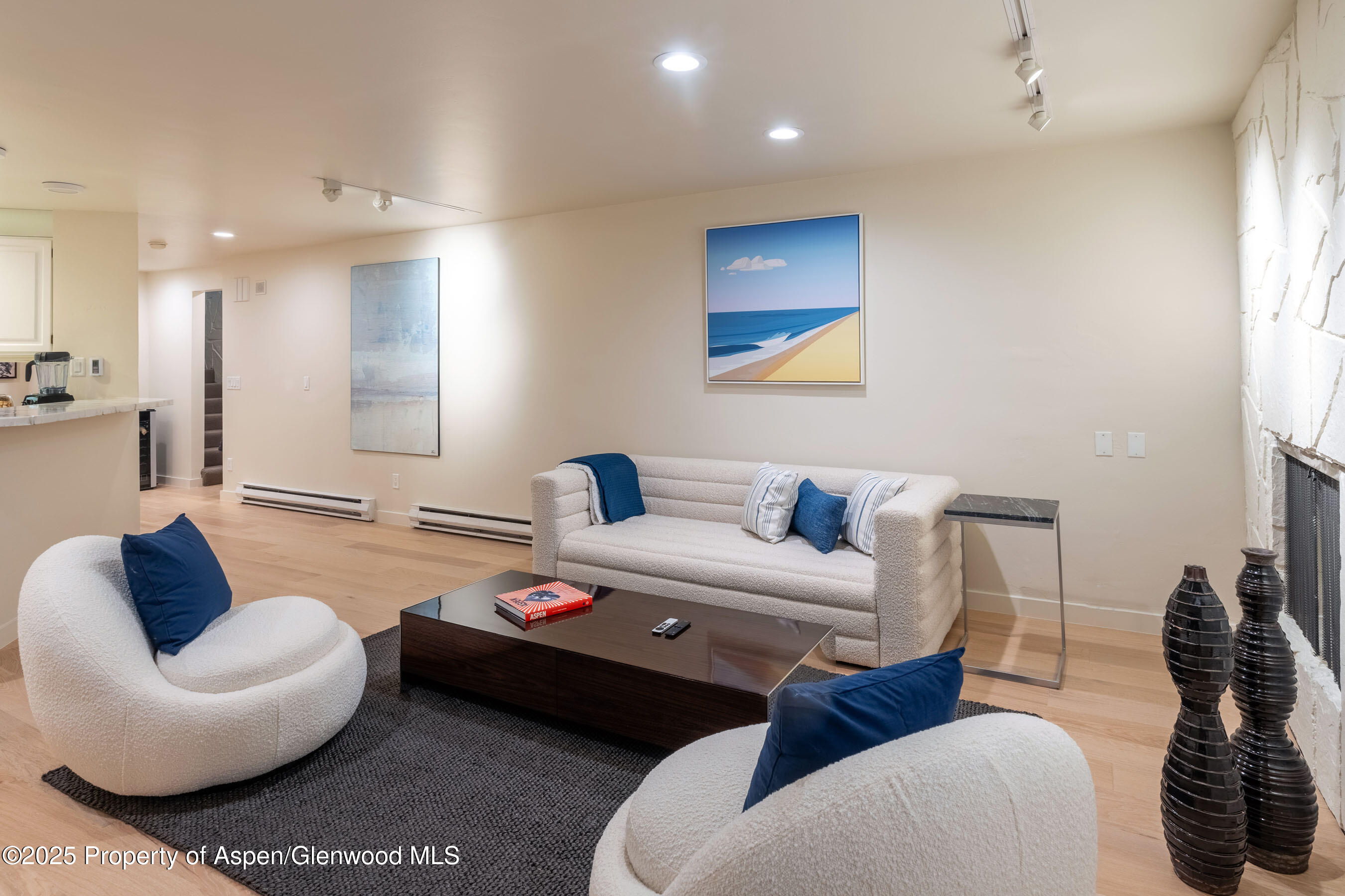 506 W Hallam Street Aspen CO 81611