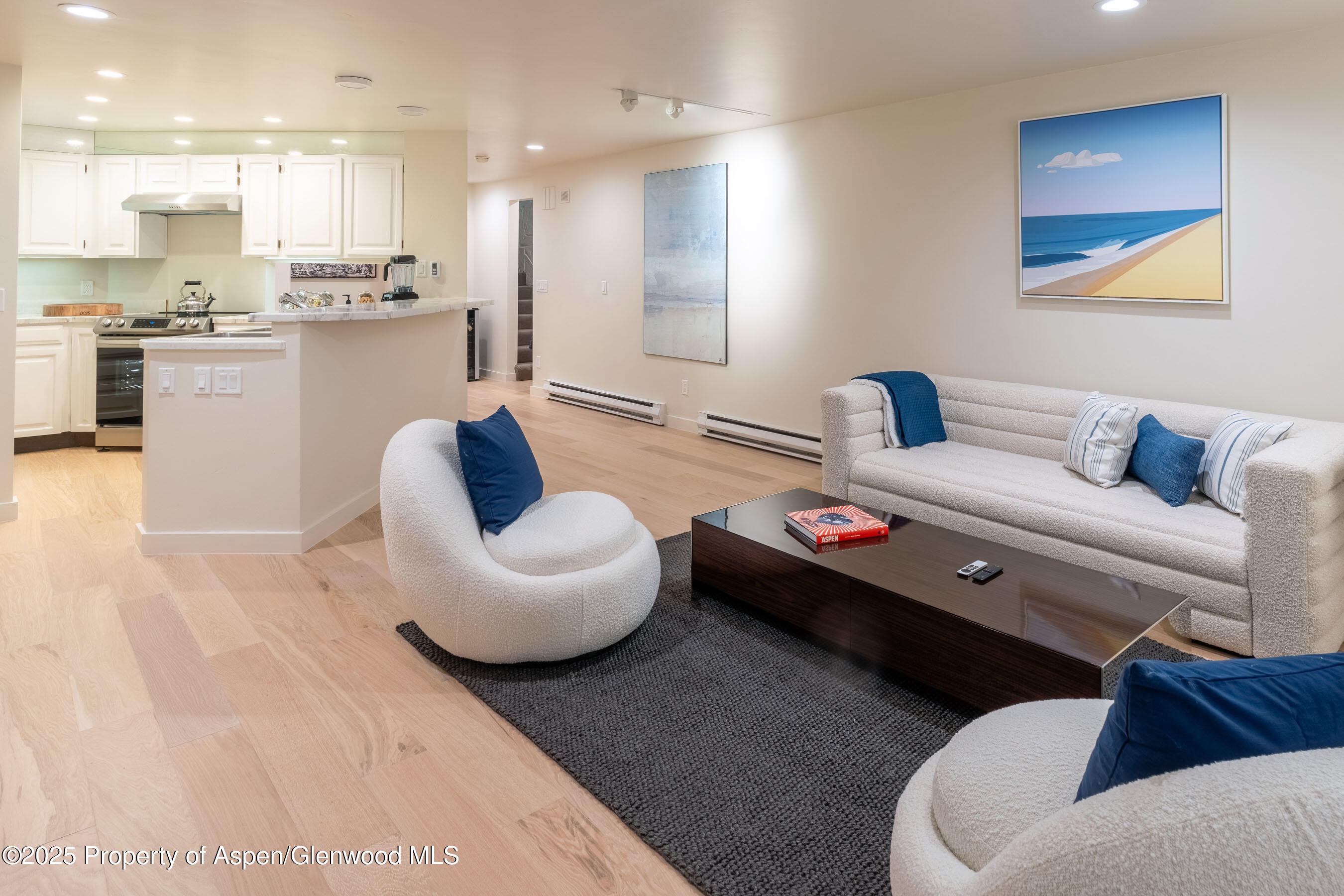 506 W Hallam Street Aspen CO 81611