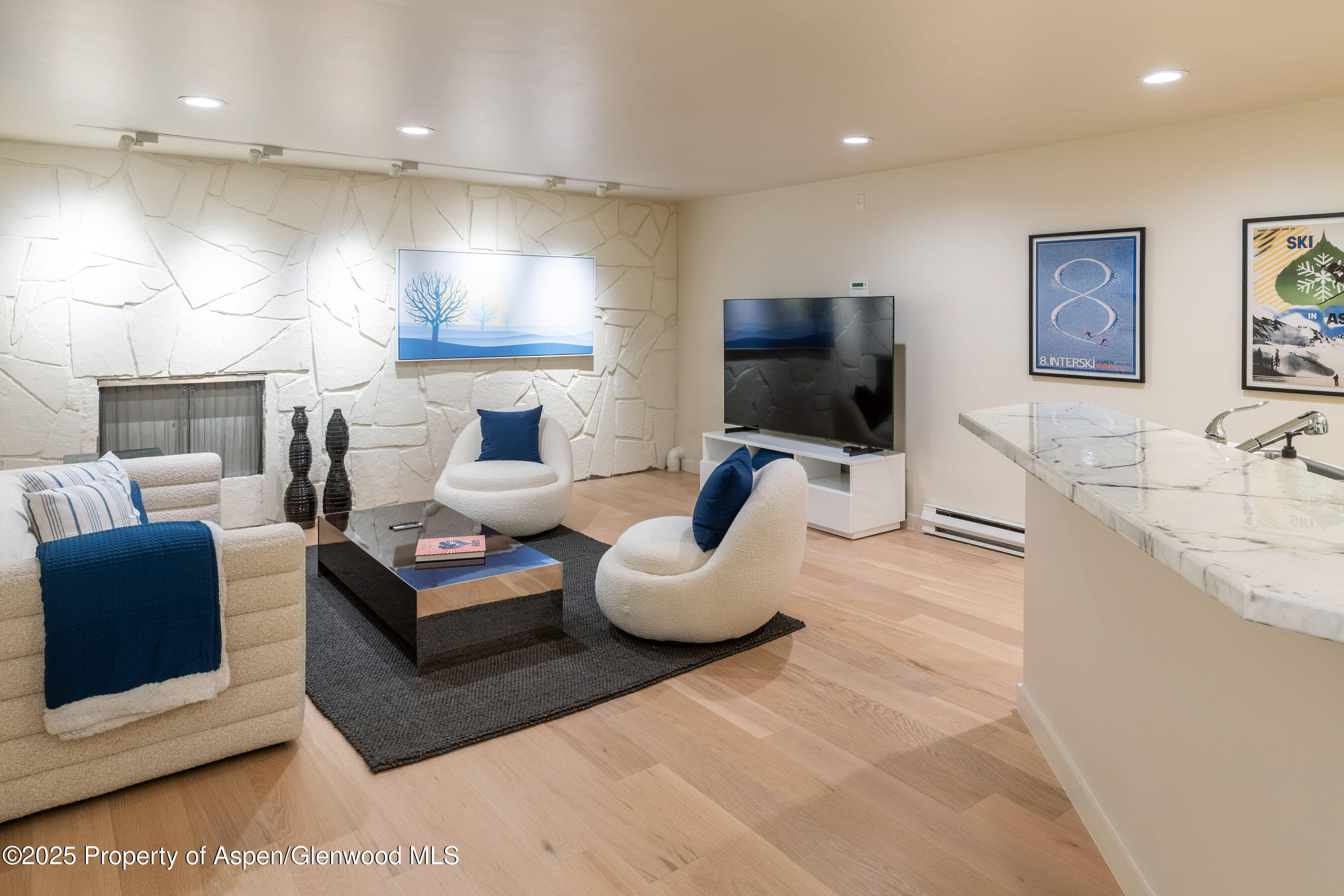 506 W Hallam Street Aspen CO 81611