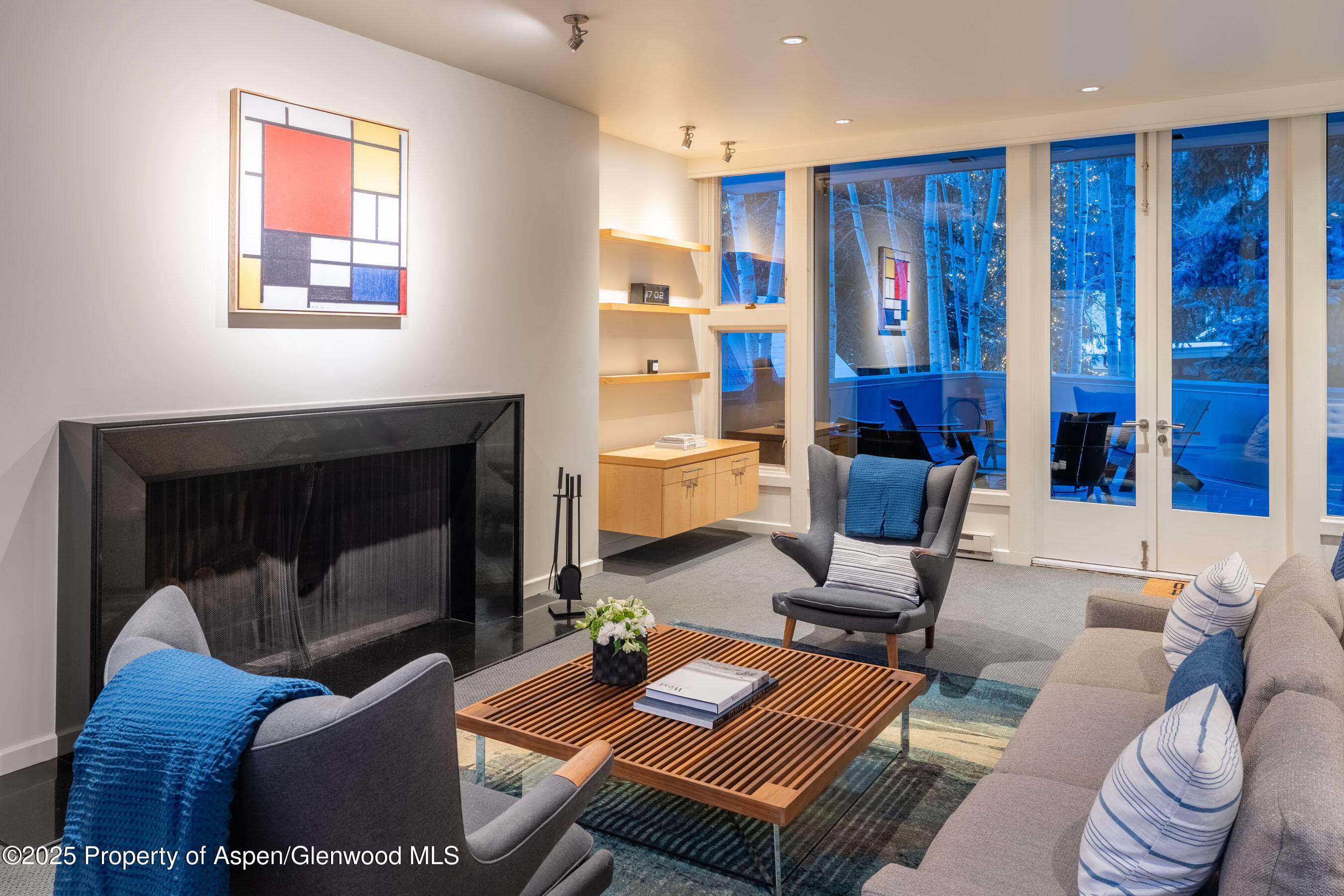 506 W Hallam Street Aspen CO 81611