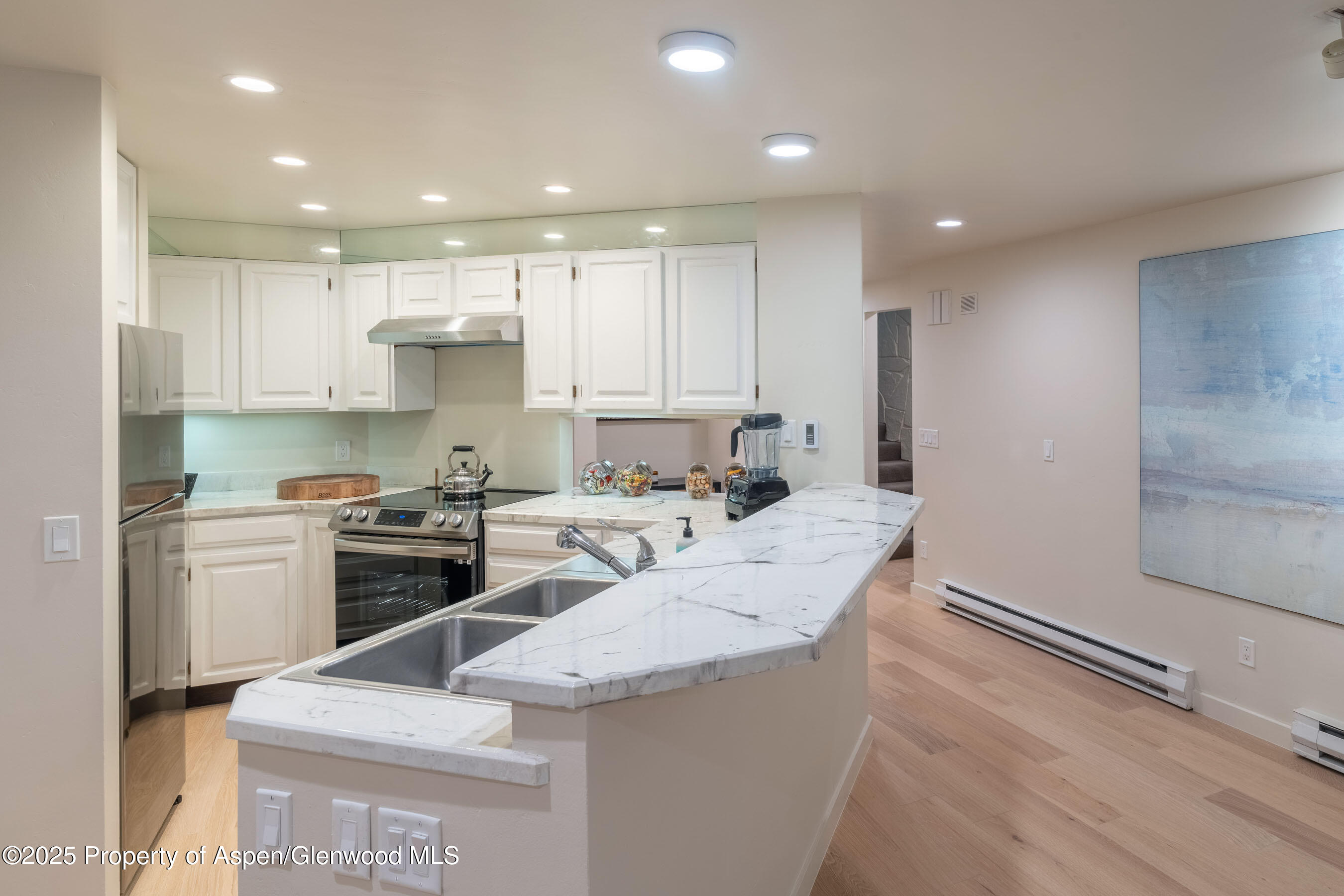 506 W Hallam Street Aspen CO 81611