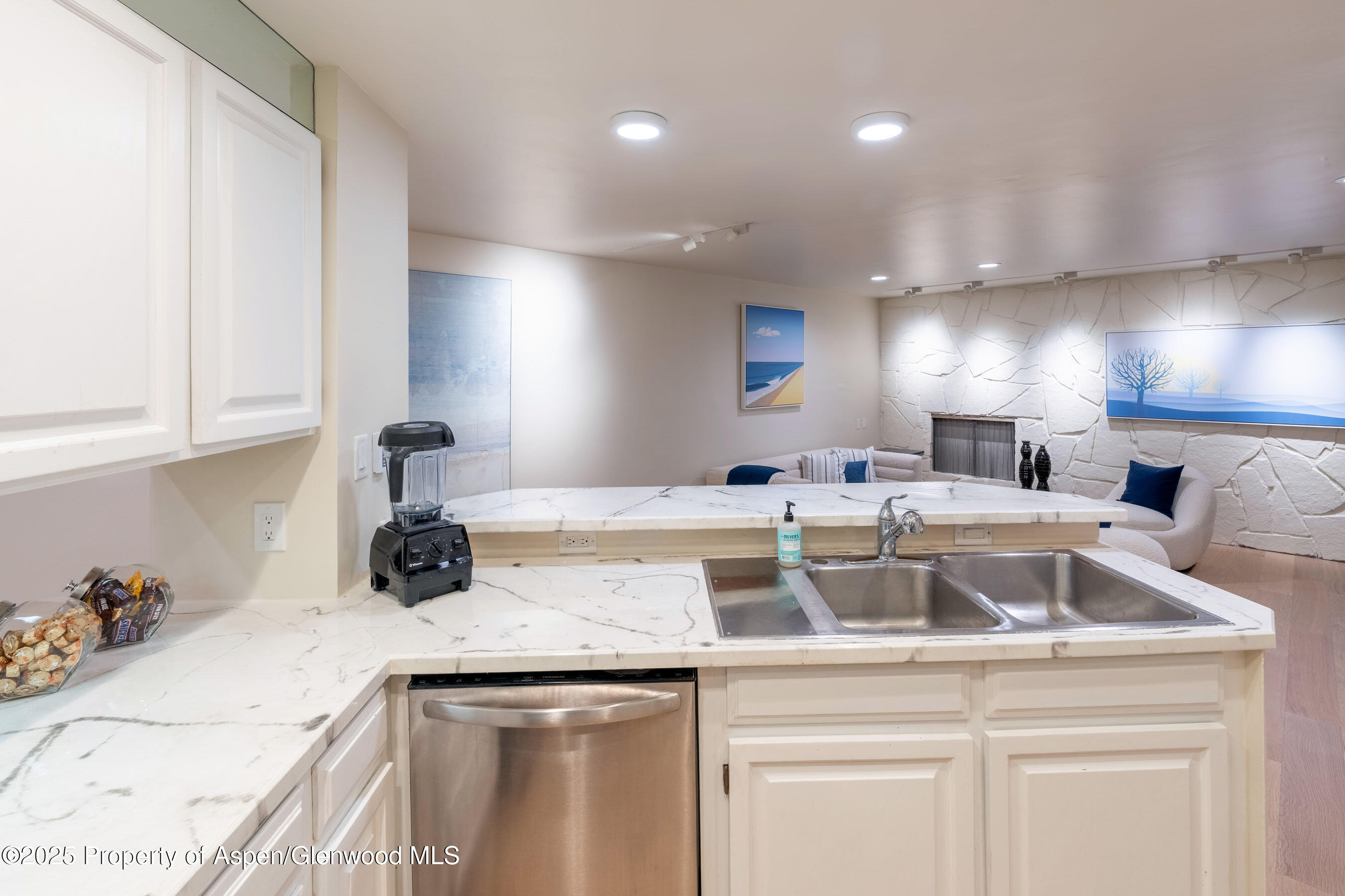 506 W Hallam Street Aspen CO 81611