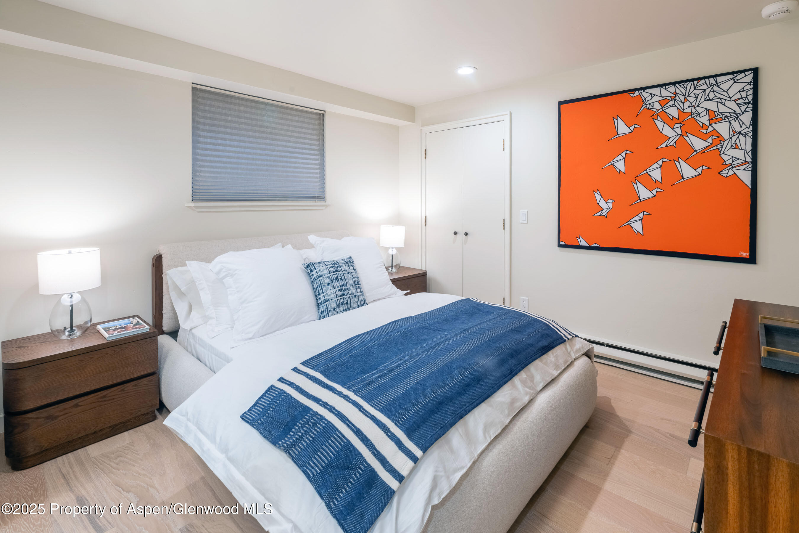 506 W Hallam Street Aspen CO 81611