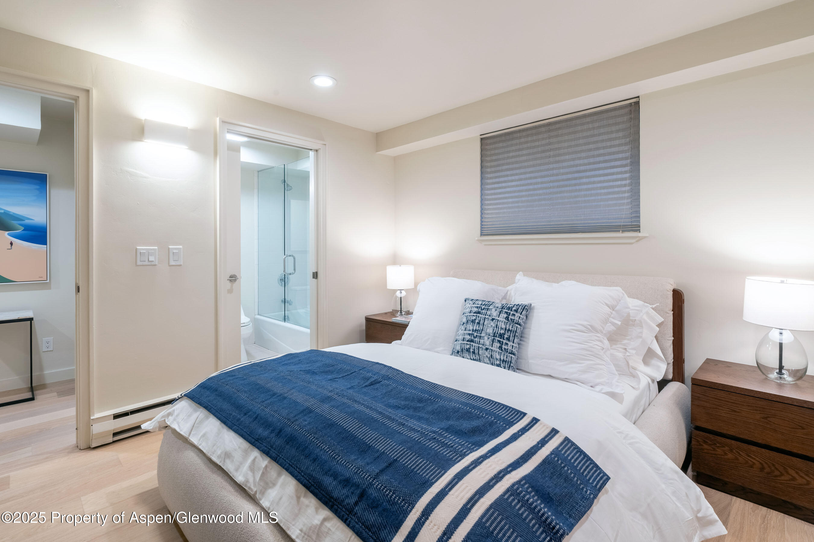 506 W Hallam Street Aspen CO 81611