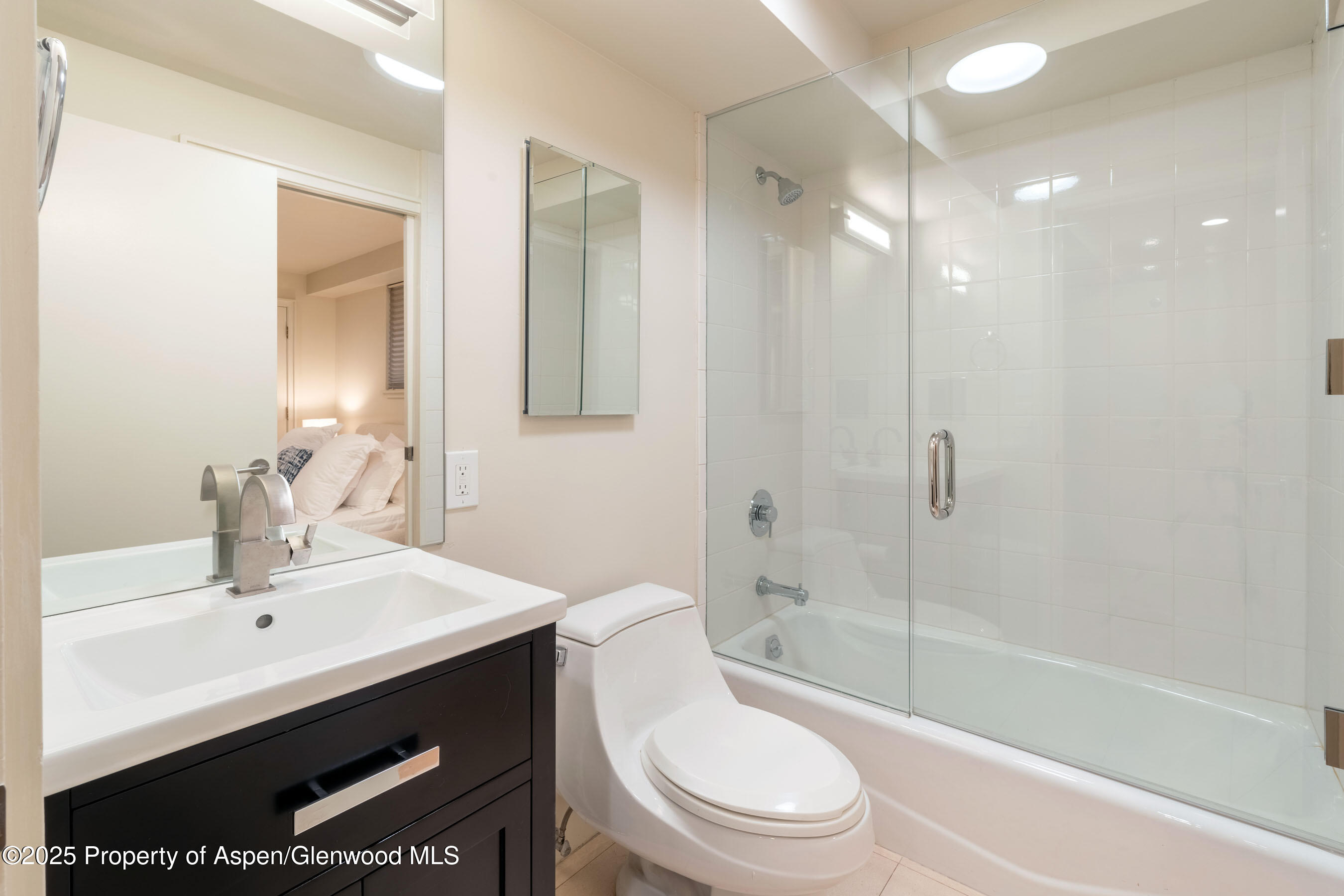 506 W Hallam Street Aspen CO 81611