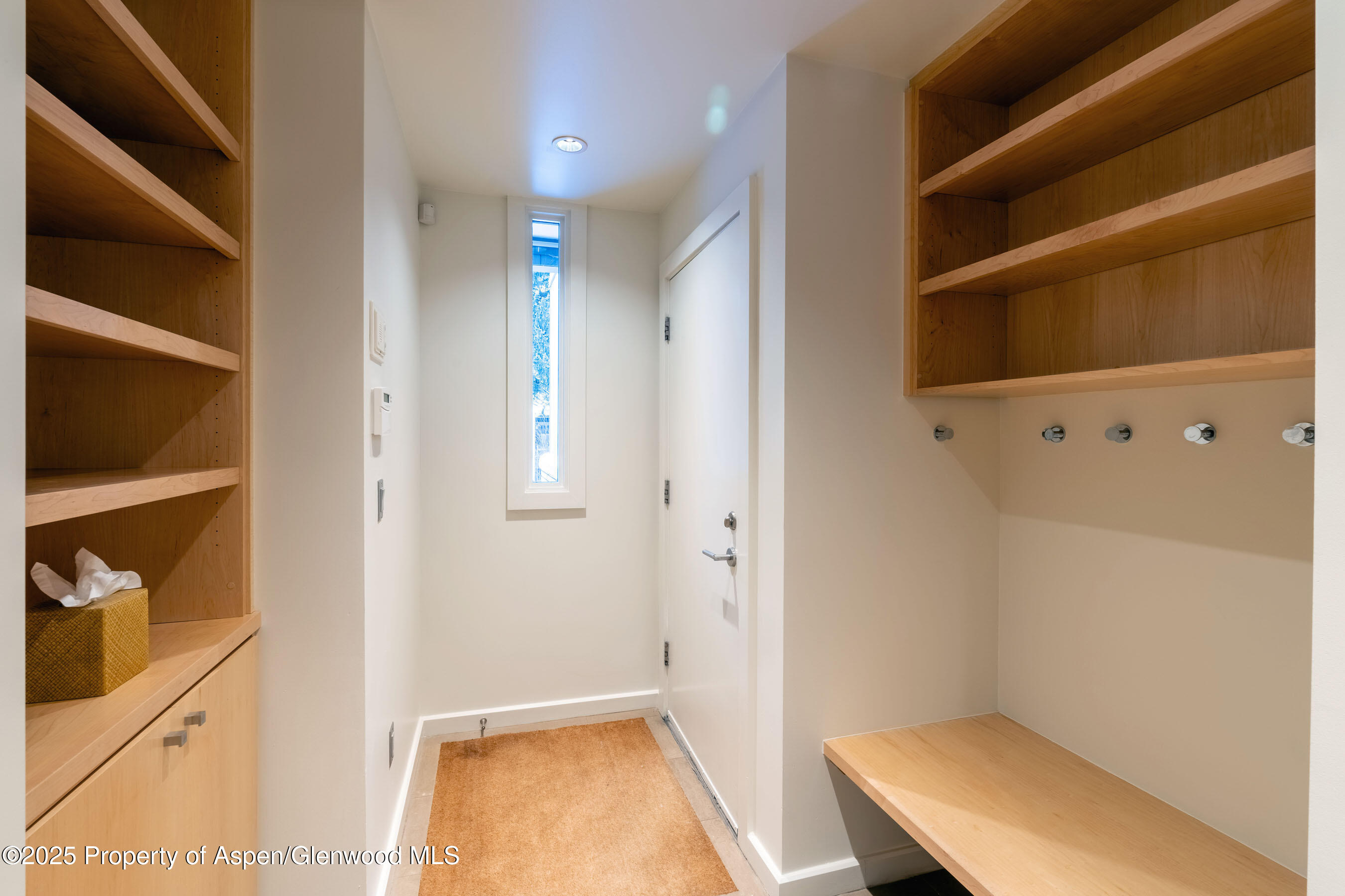 506 W Hallam Street Aspen CO 81611