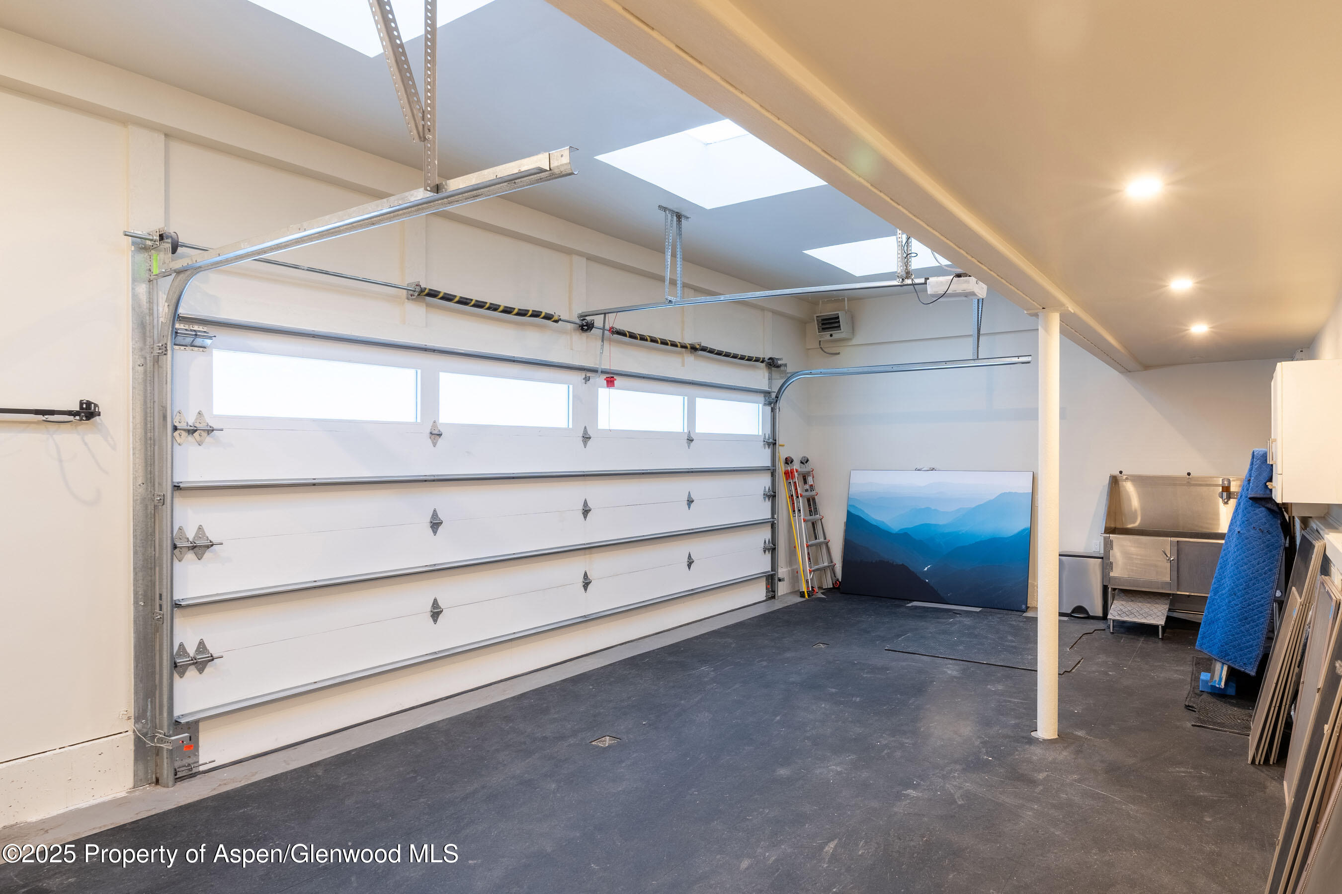 506 W Hallam Street Aspen CO 81611