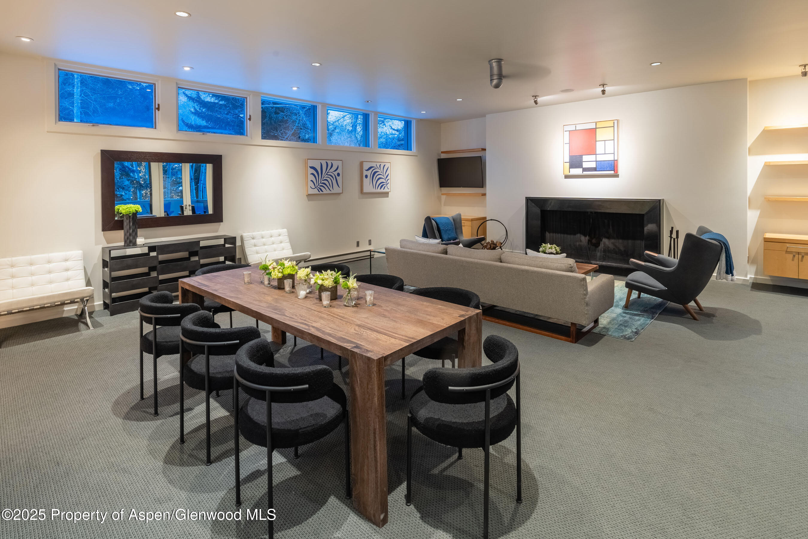 506 W Hallam Street Aspen CO 81611