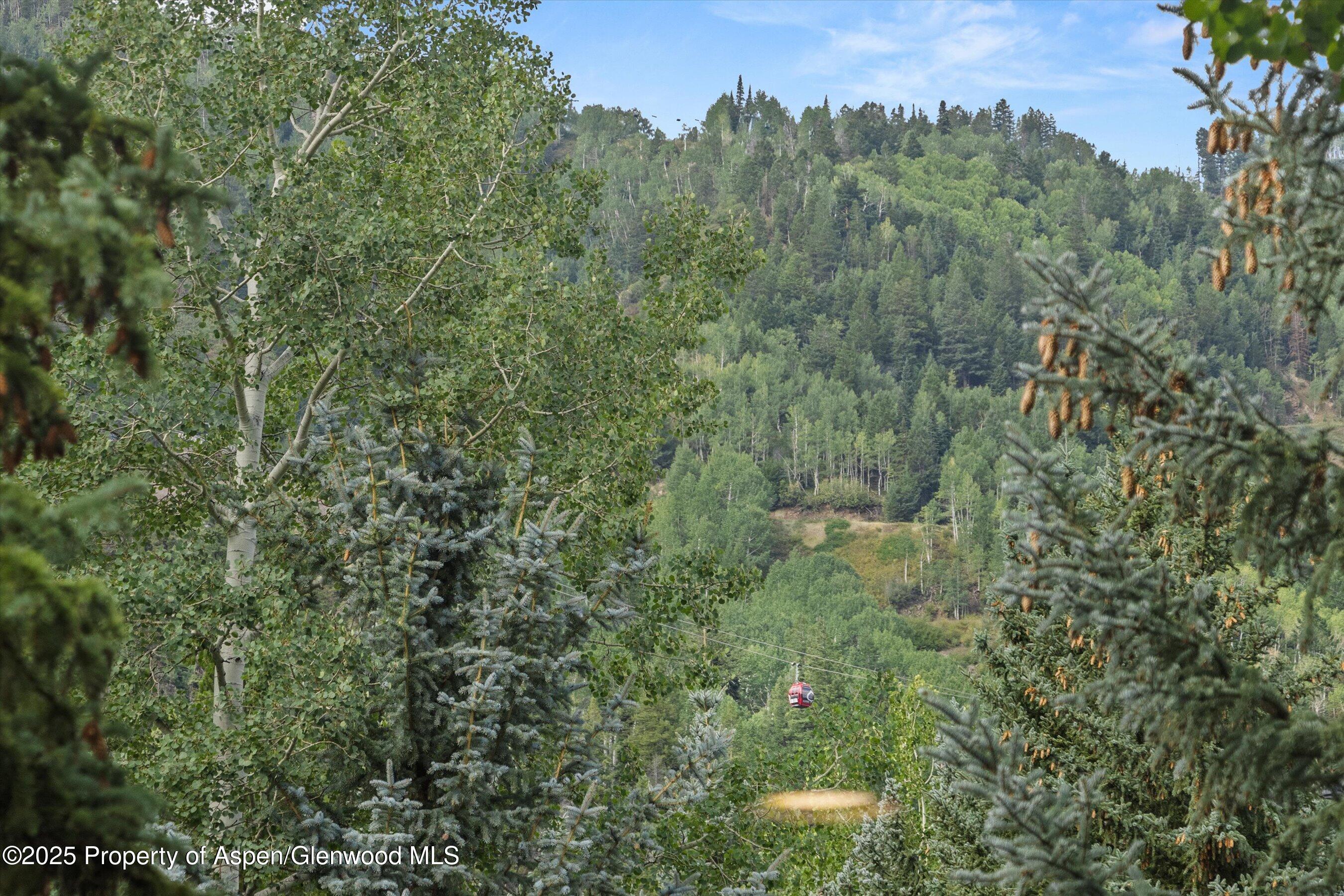 926 Waters Avenue Aspen CO 81611