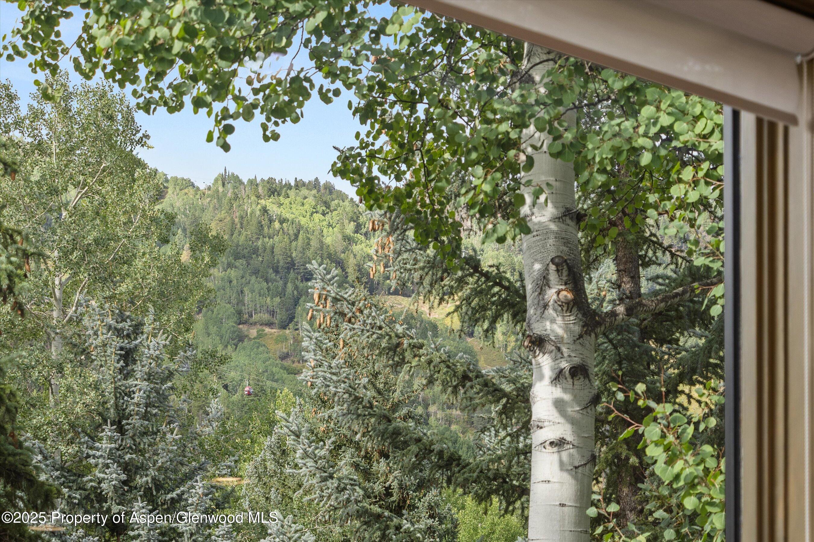 926 Waters Avenue Aspen CO 81611