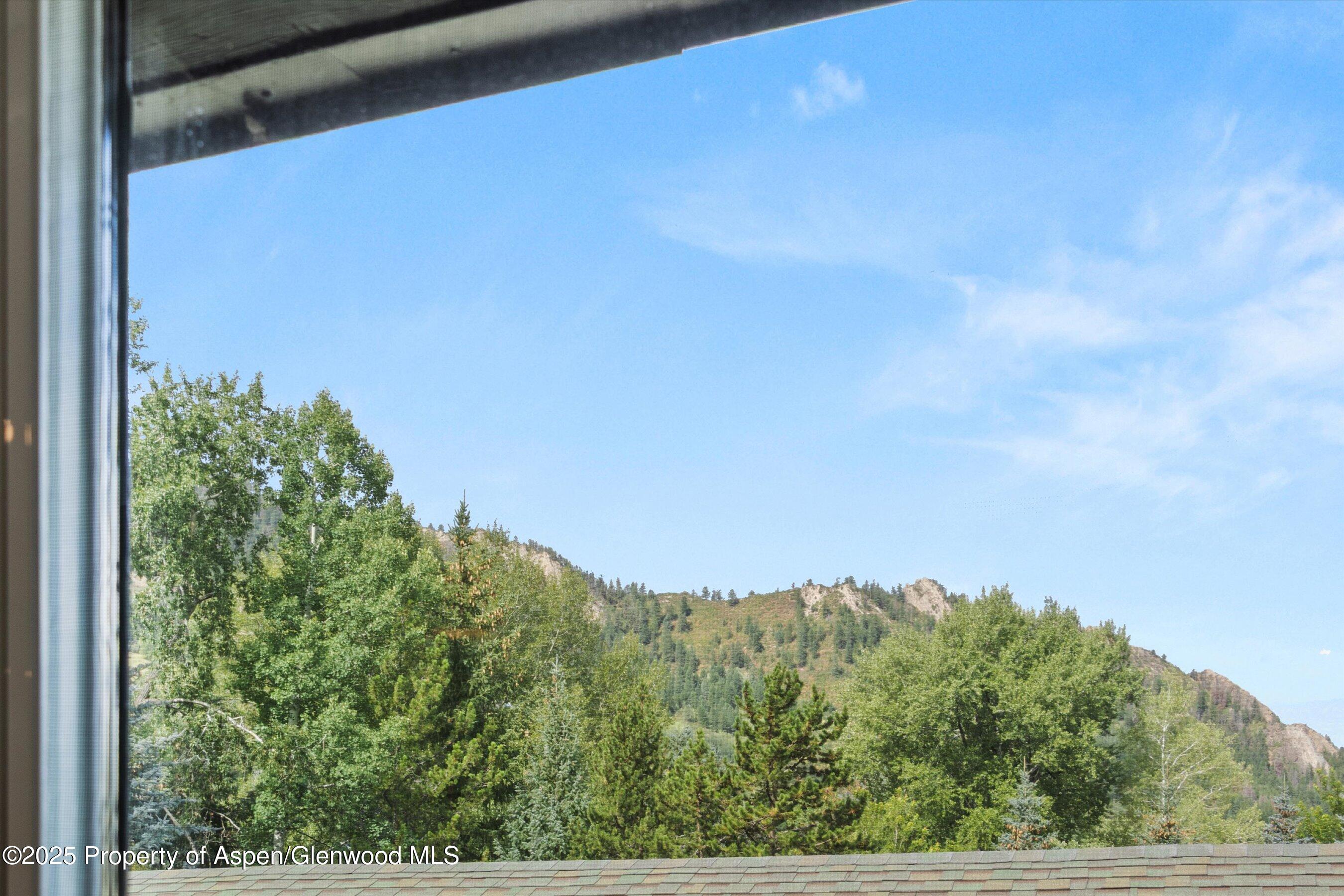 926 Waters Avenue Aspen CO 81611