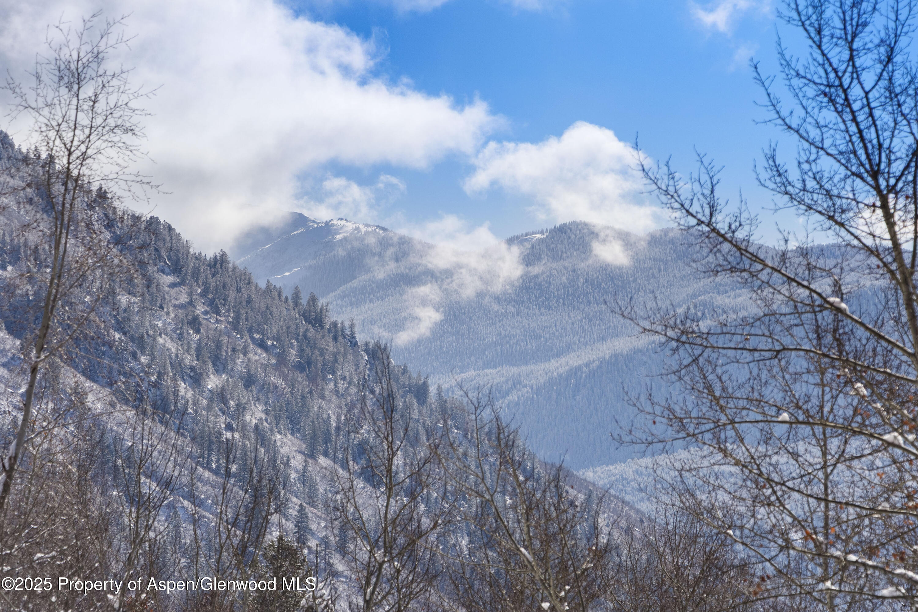 96 Mountain Laurel Court Aspen CO 81611