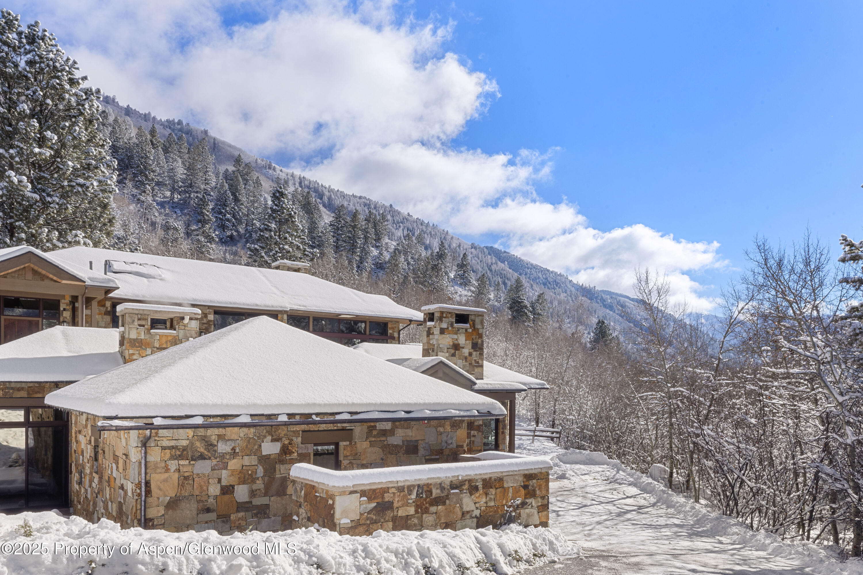 96 Mountain Laurel Court Aspen CO 81611