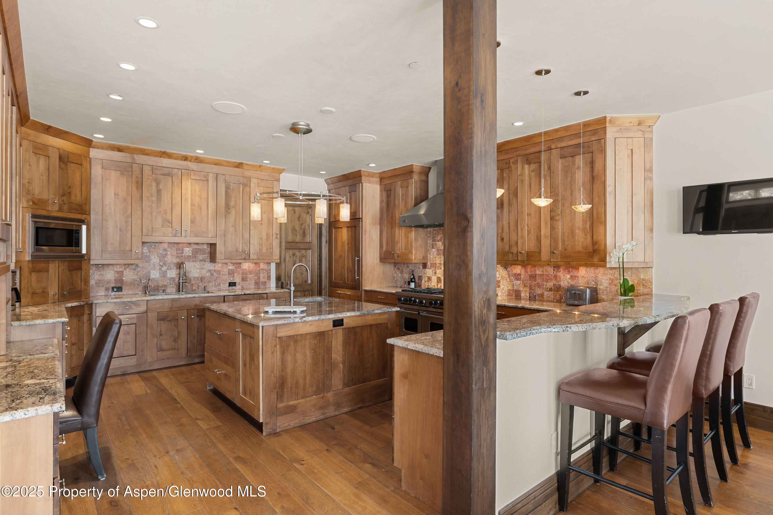 96 Mountain Laurel Court Aspen CO 81611