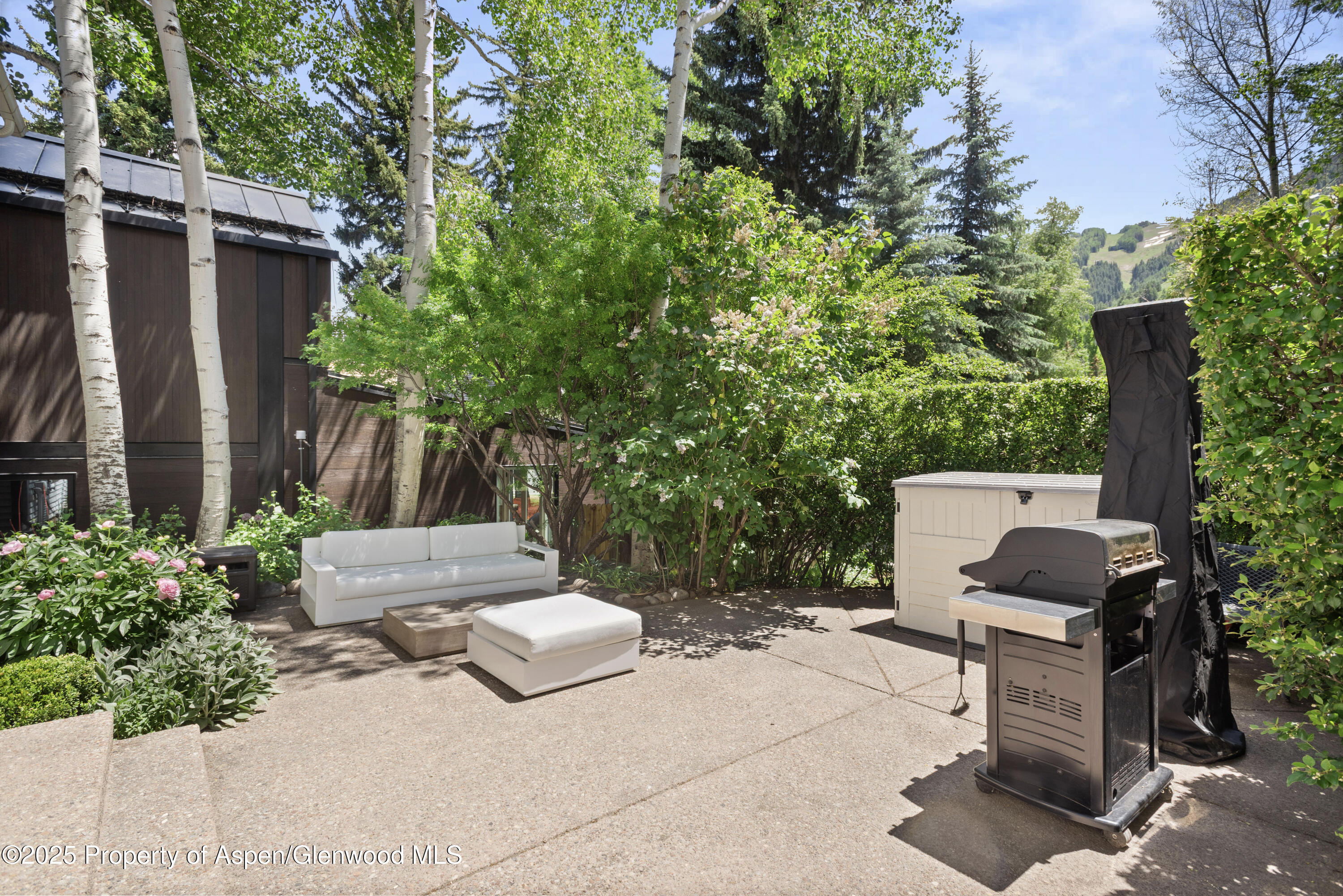 314 W Main Street Aspen CO 81611