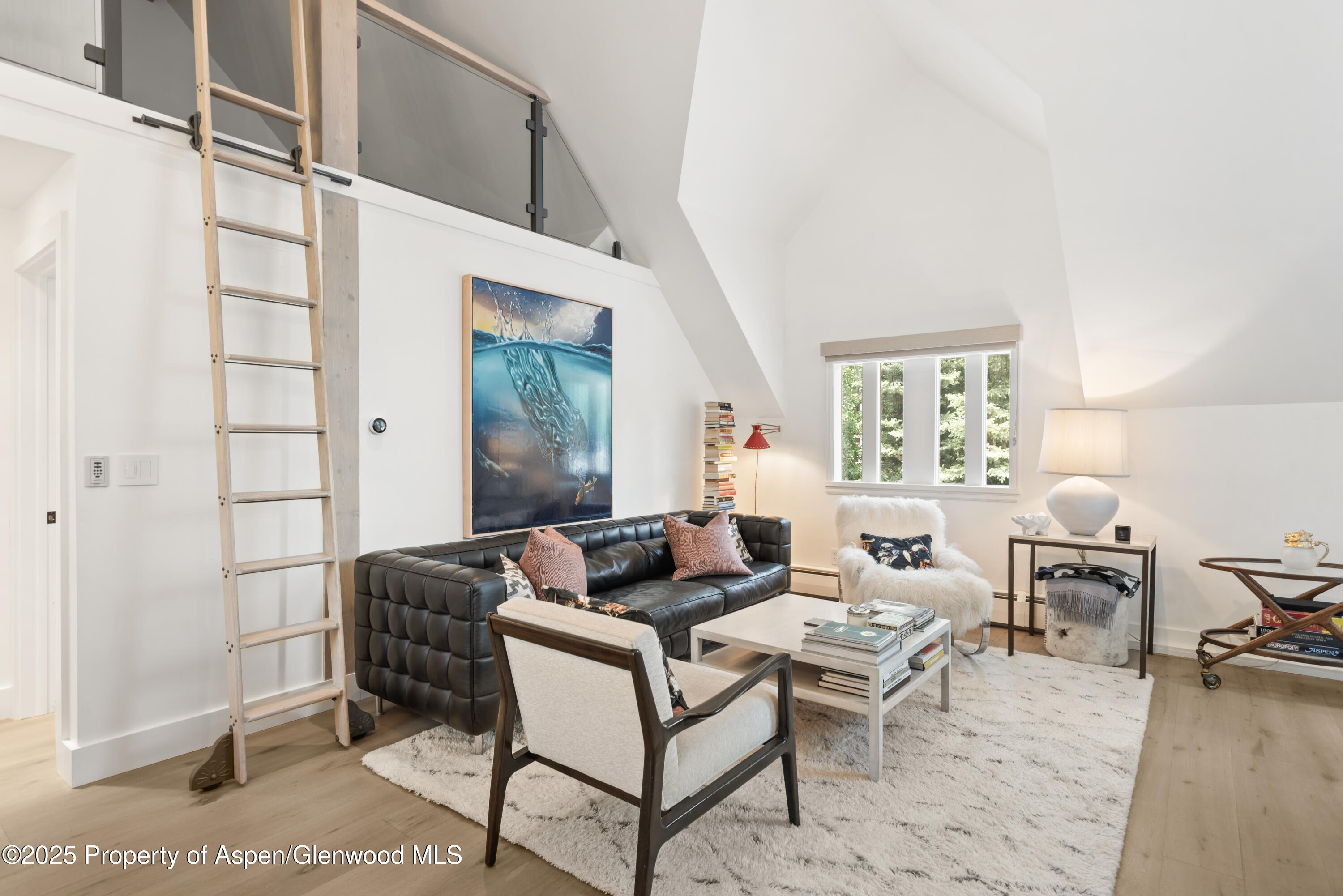 314 W Main Street Aspen CO 81611