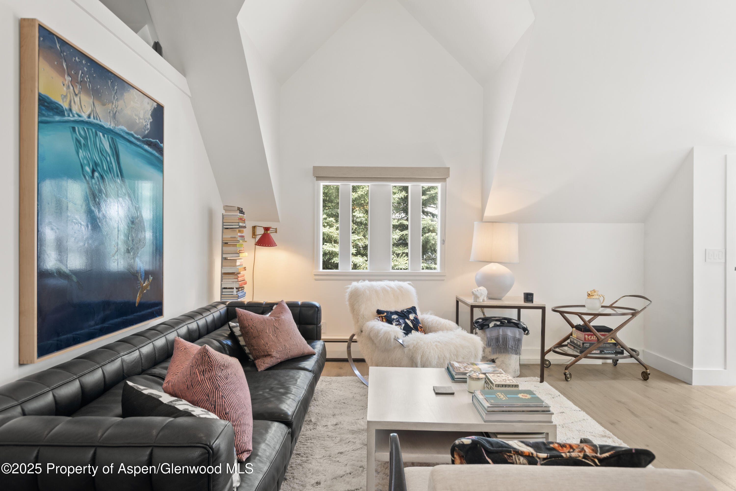 314 W Main Street Aspen CO 81611