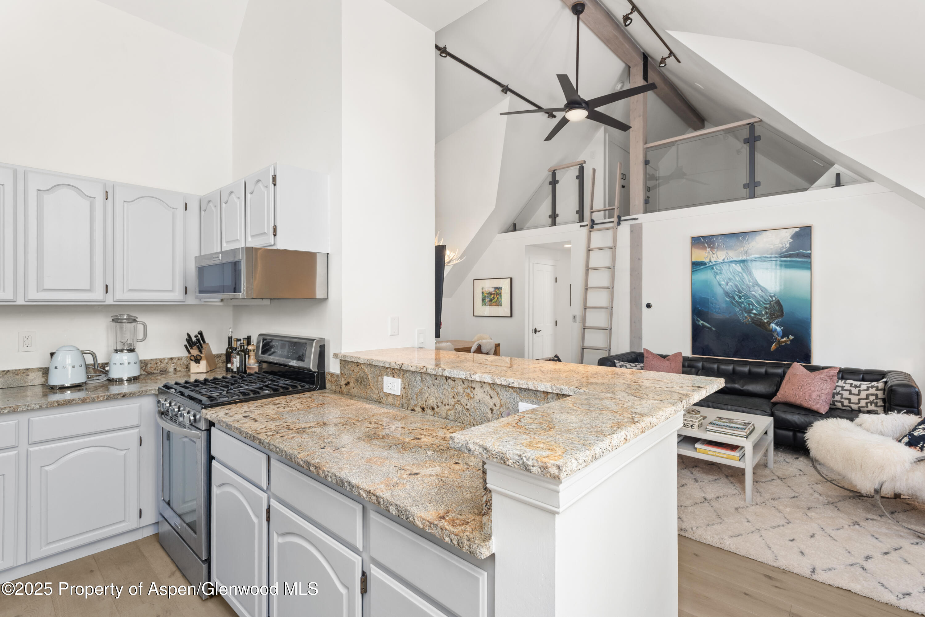 314 W Main Street Aspen CO 81611