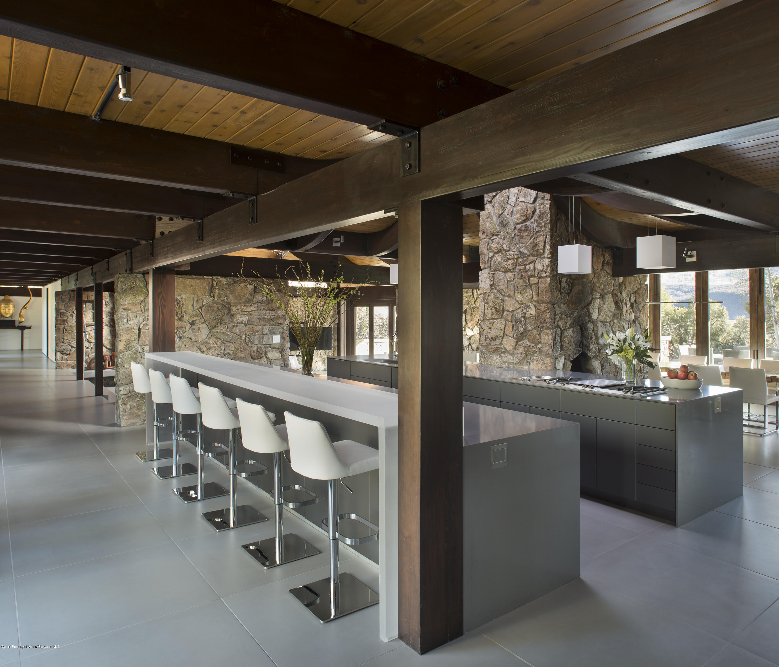 2116 Mclain Flats Road Aspen CO 81611