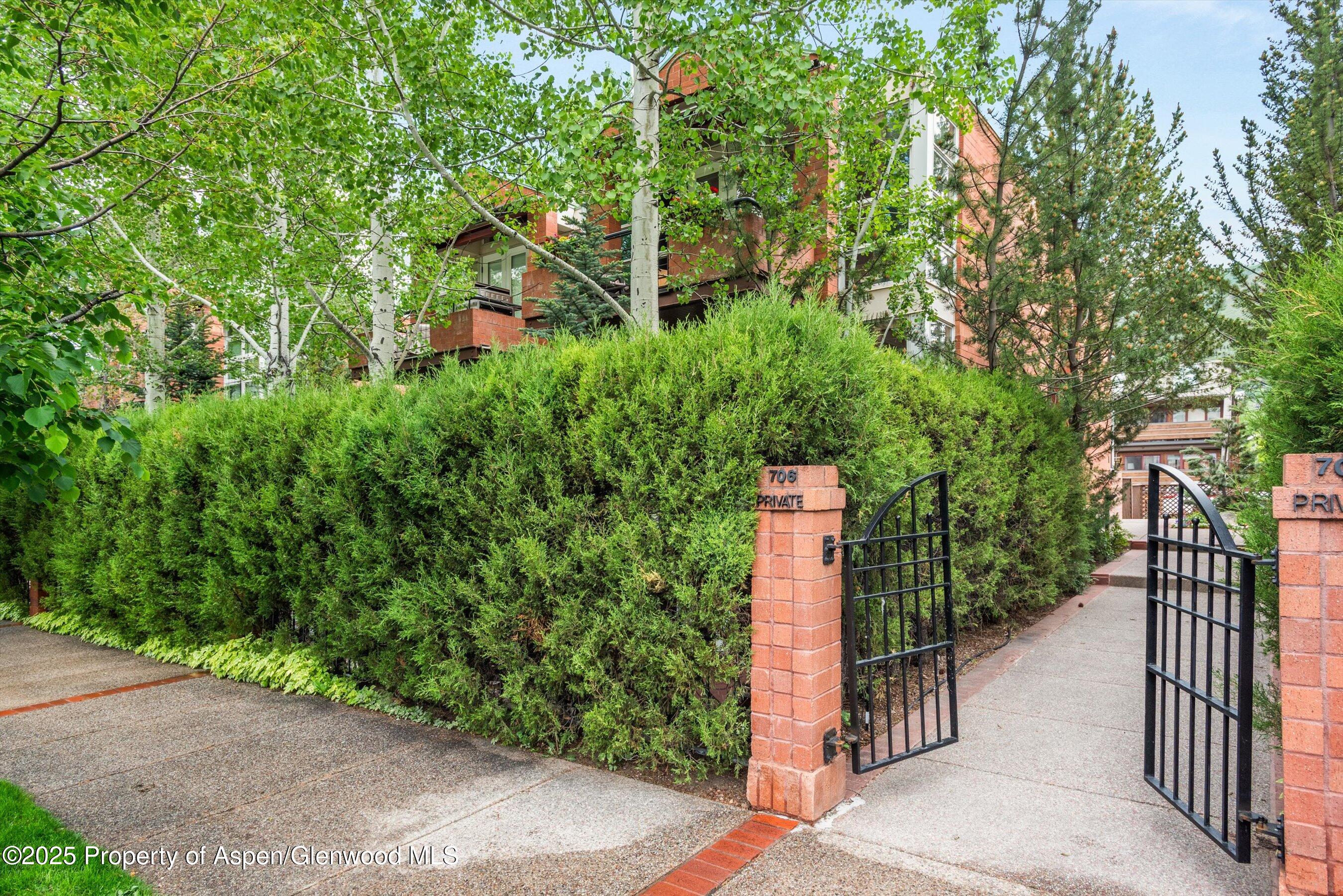 Aspen CO, 706 E Hyman Avenue