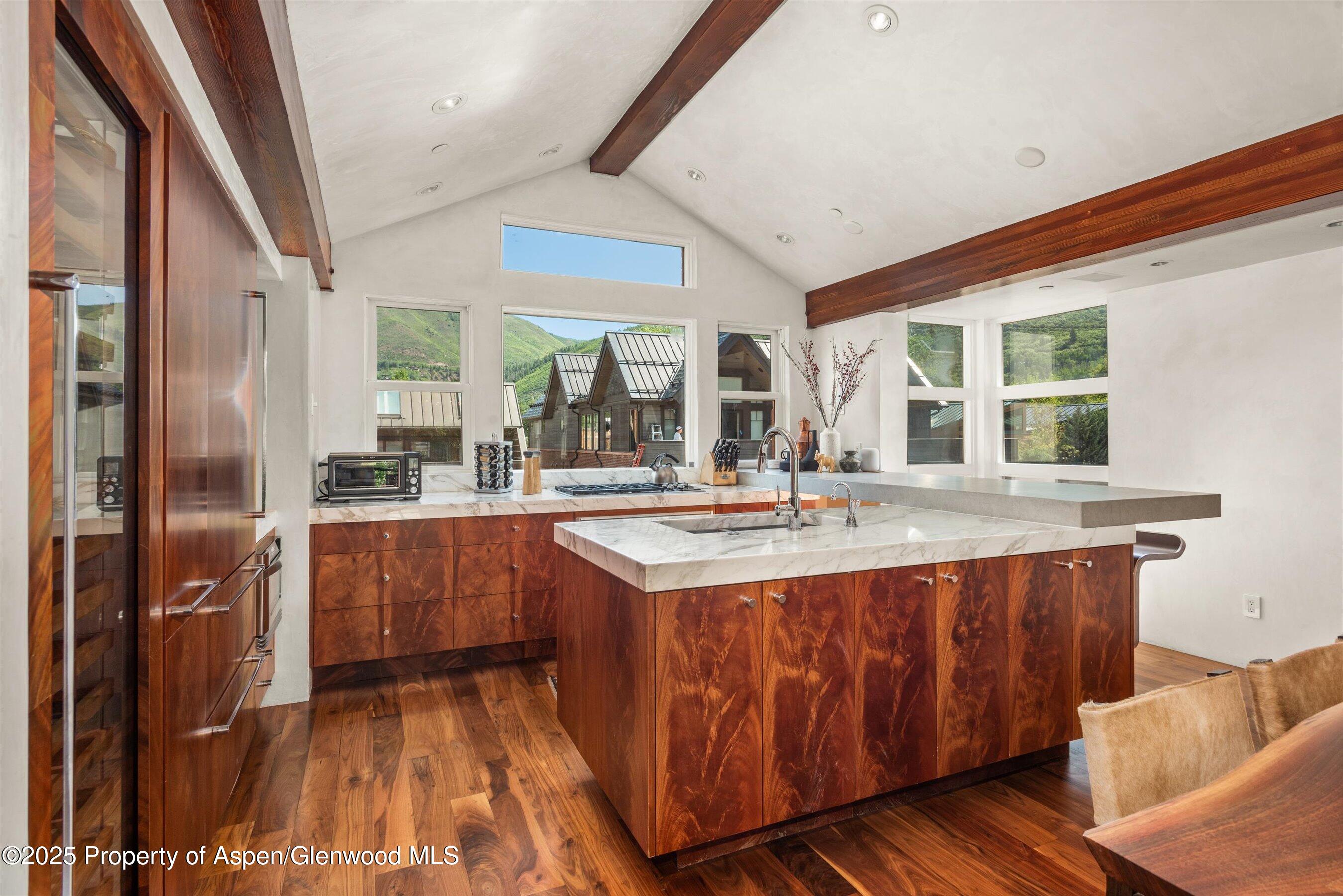706 E Hyman Avenue Aspen CO 81611