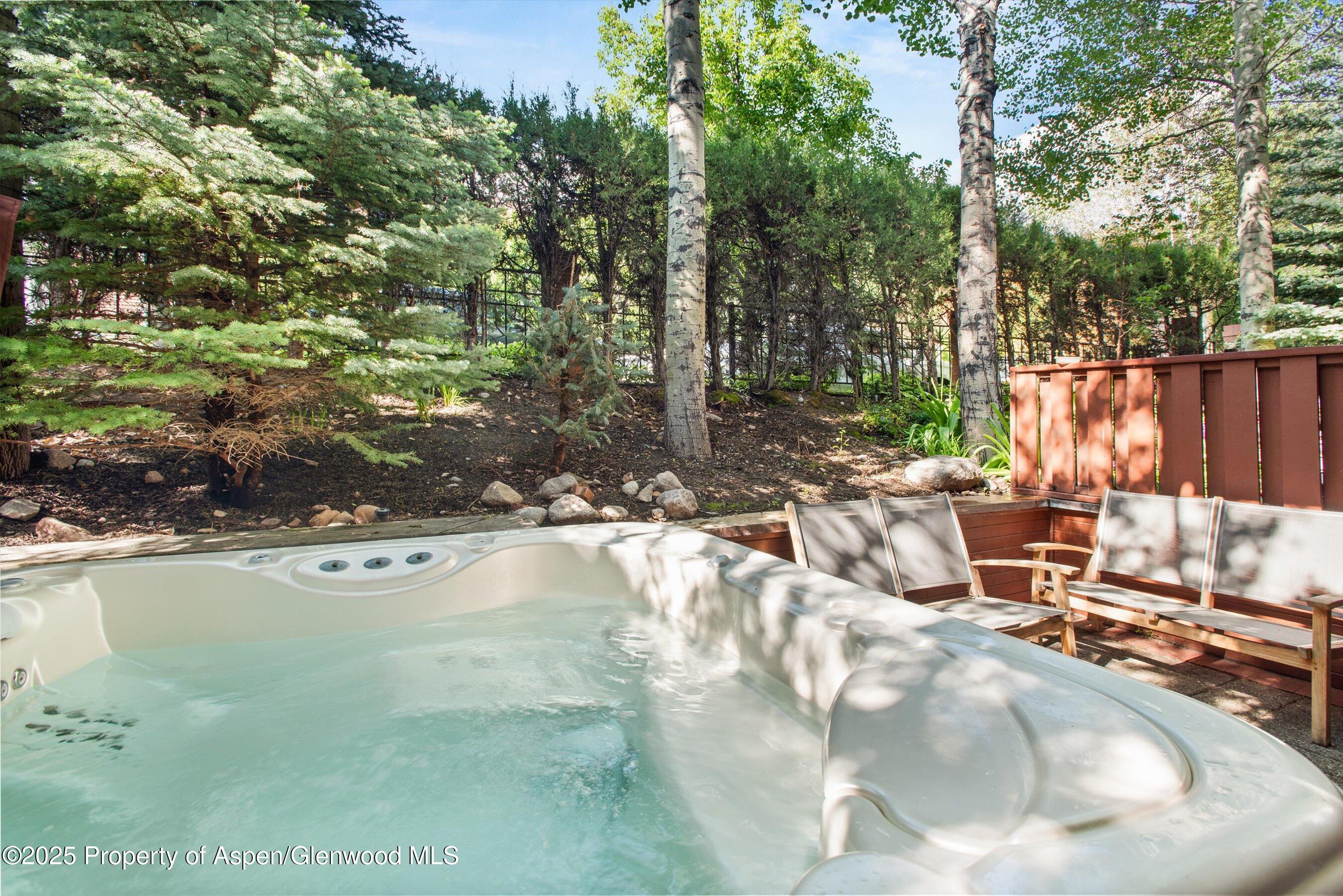 706 E Hyman Avenue Aspen CO 81611