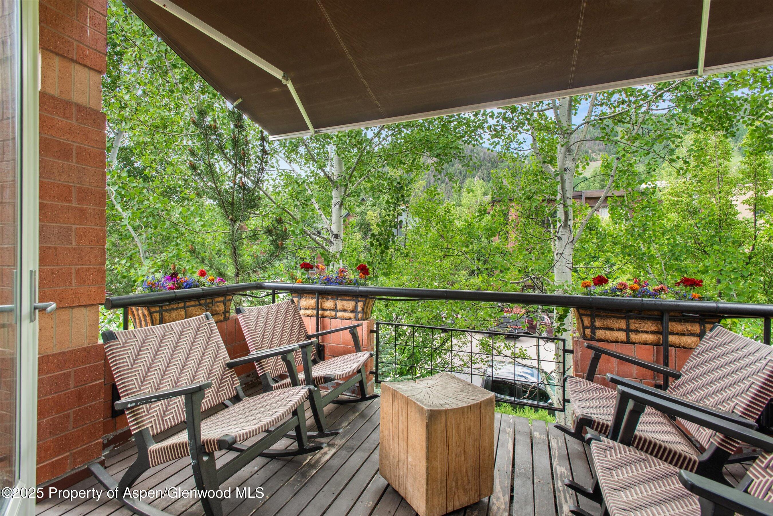 706 E Hyman Avenue Aspen CO 81611