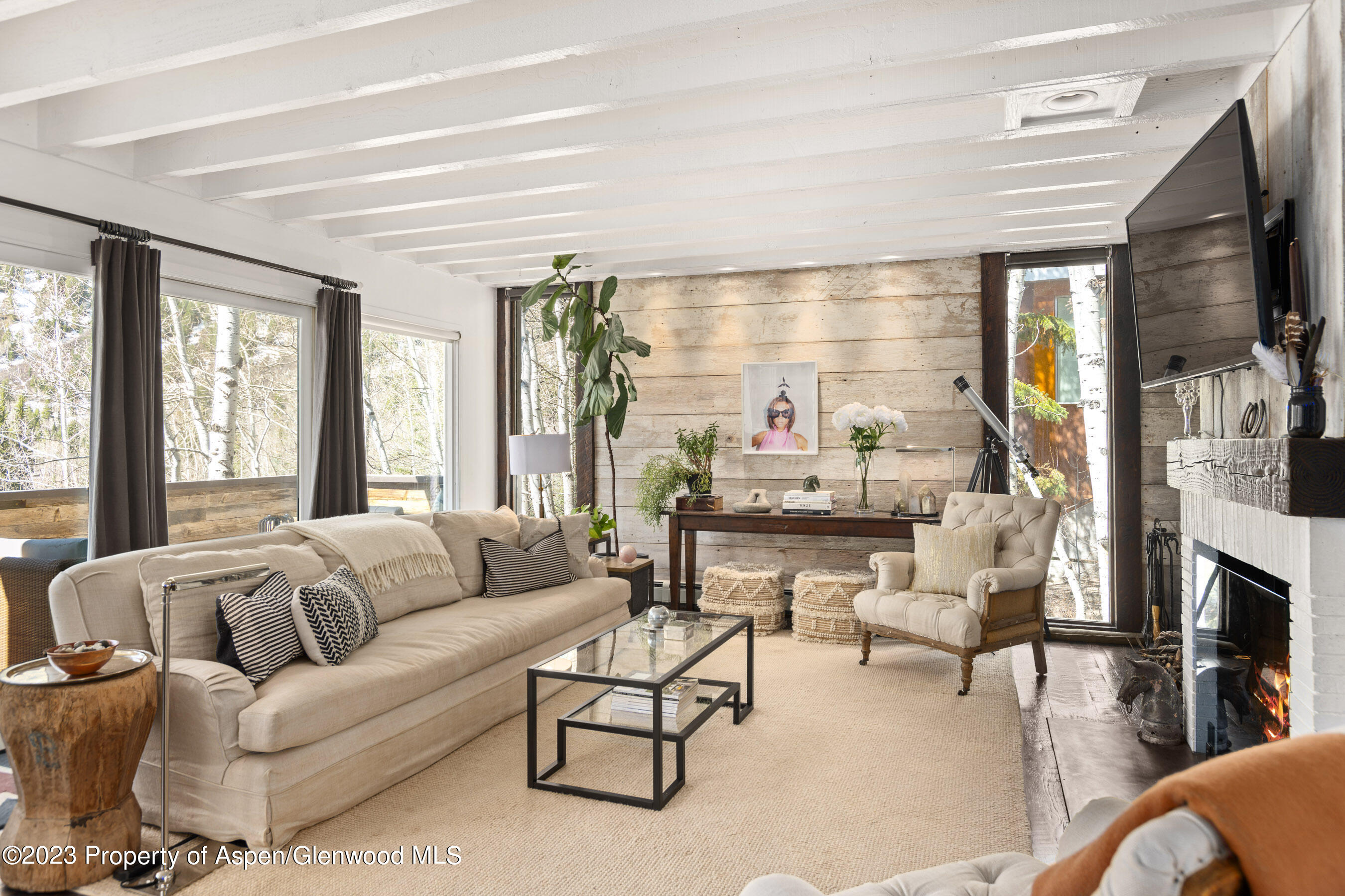 122 Eastwood Drive Aspen CO 81611