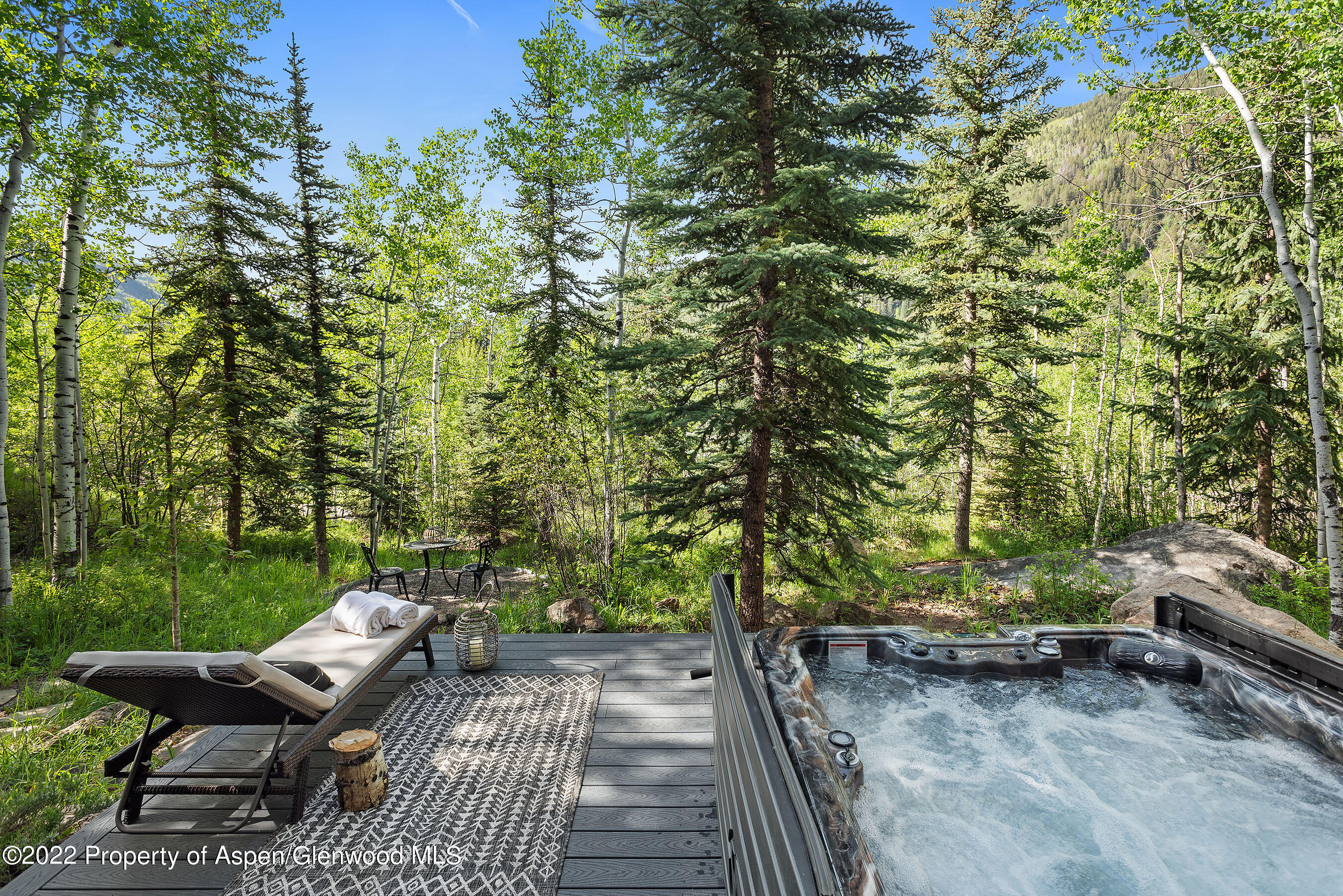 122 Eastwood Drive Aspen CO 81611