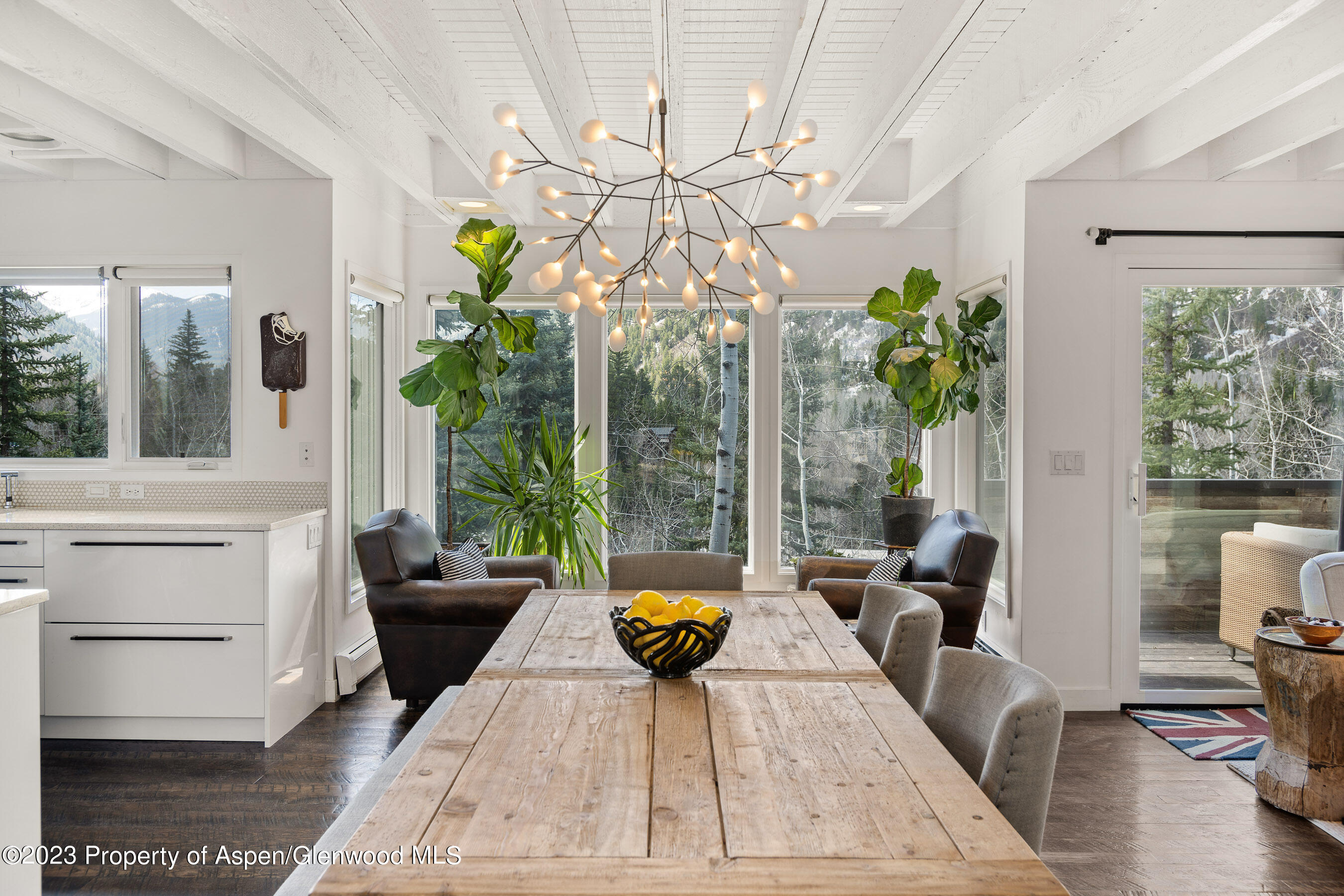 122 Eastwood Drive Aspen CO 81611