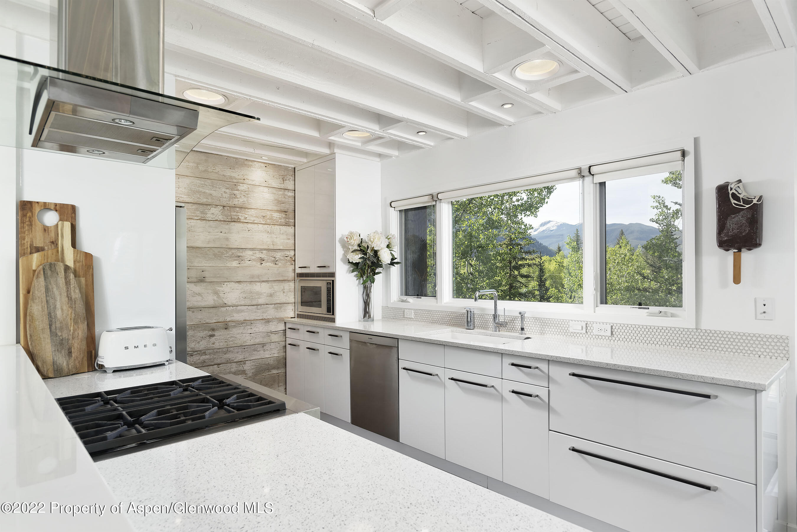 122 Eastwood Drive Aspen CO 81611