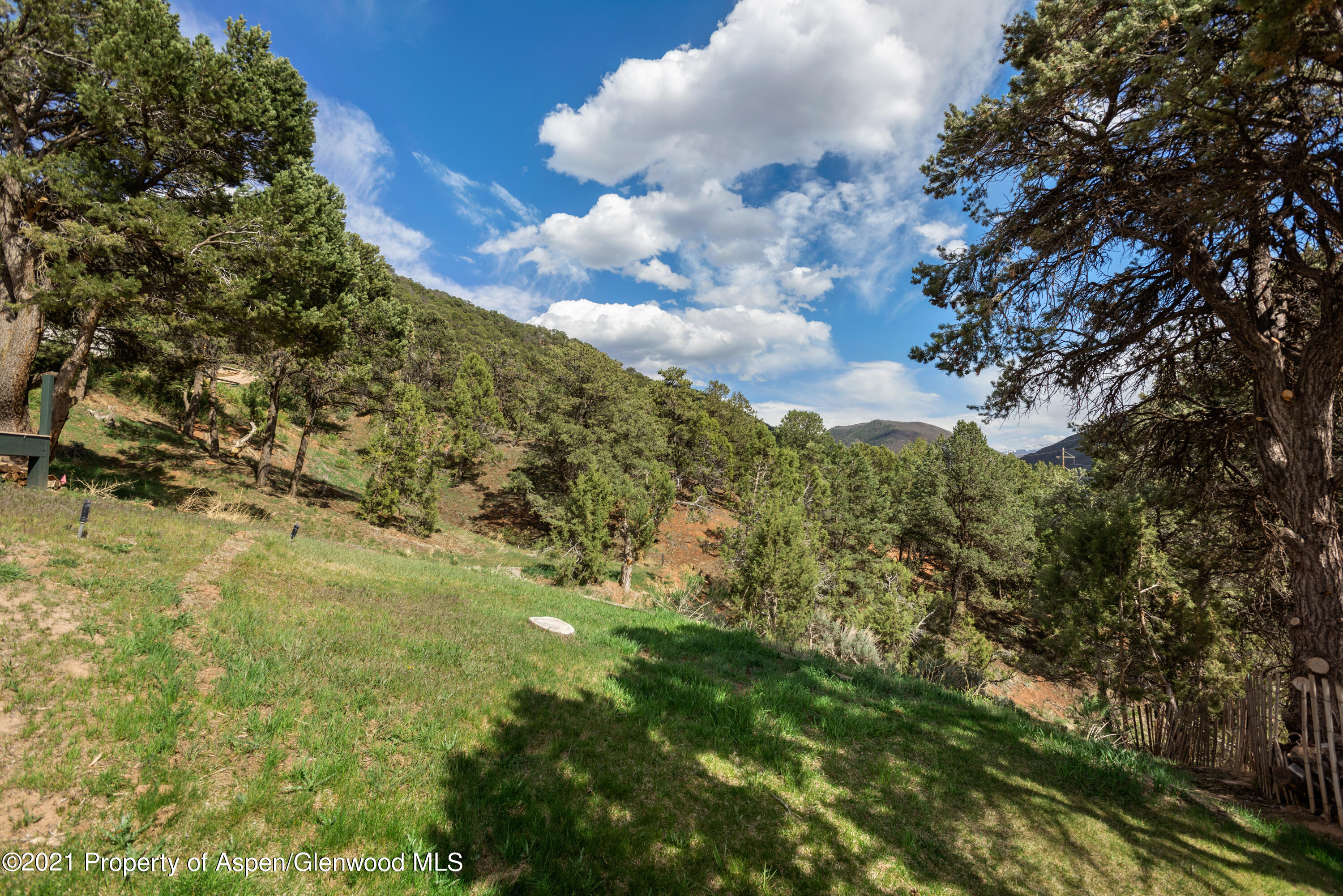 561 Booth Lane Basalt CO 81621