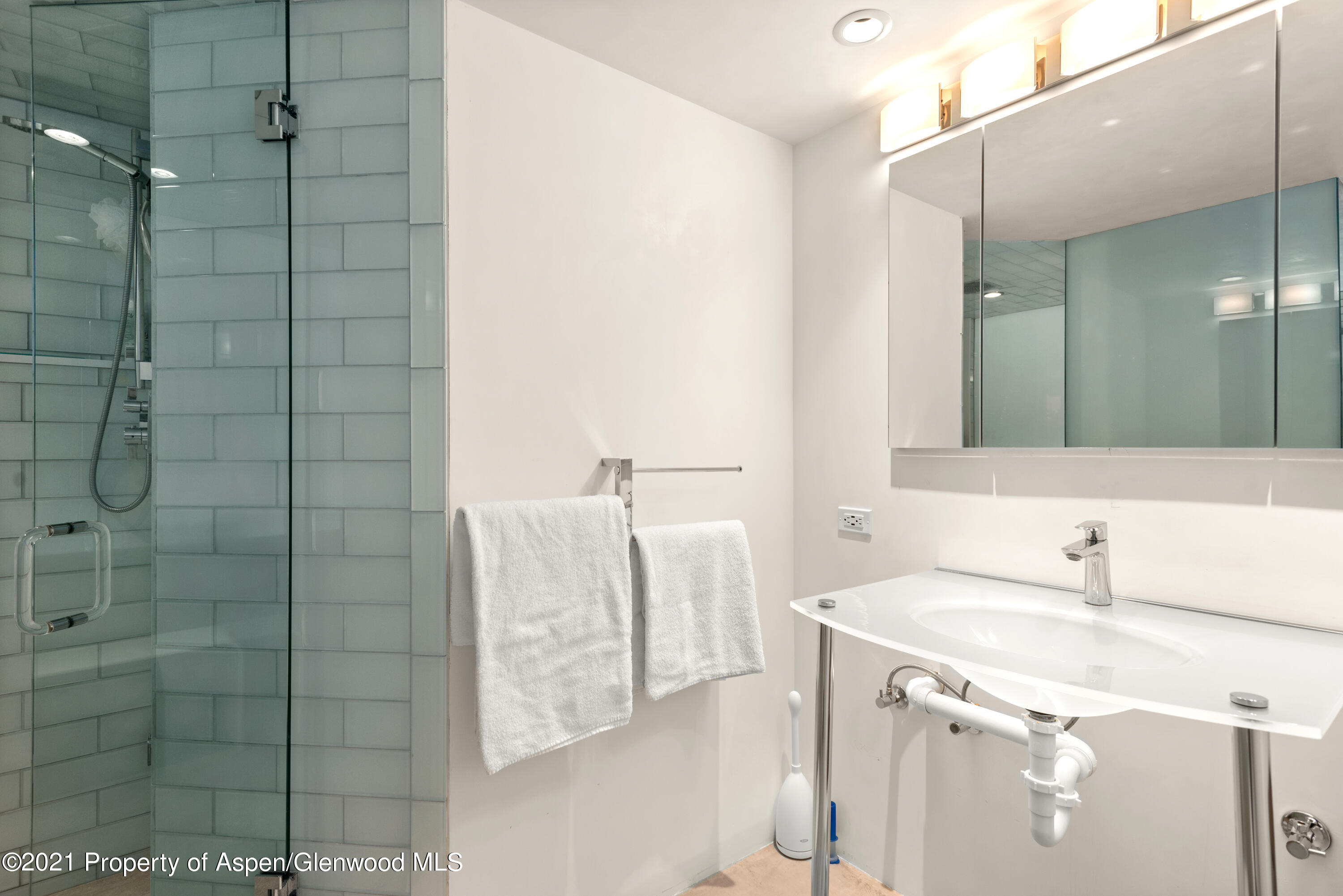 561 Booth Lane Basalt CO 81621