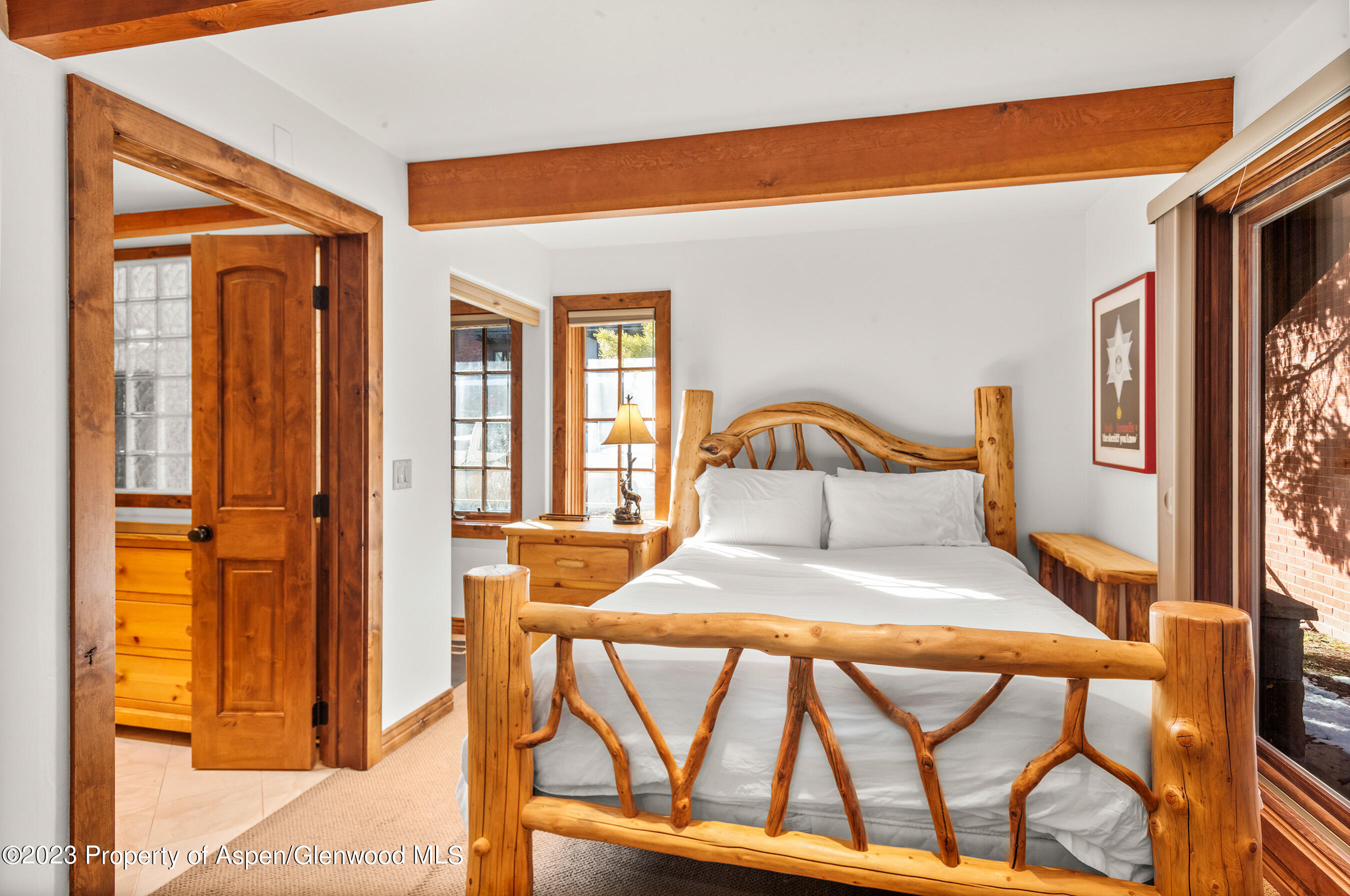 630 E Cooper Avenue Aspen CO 81611