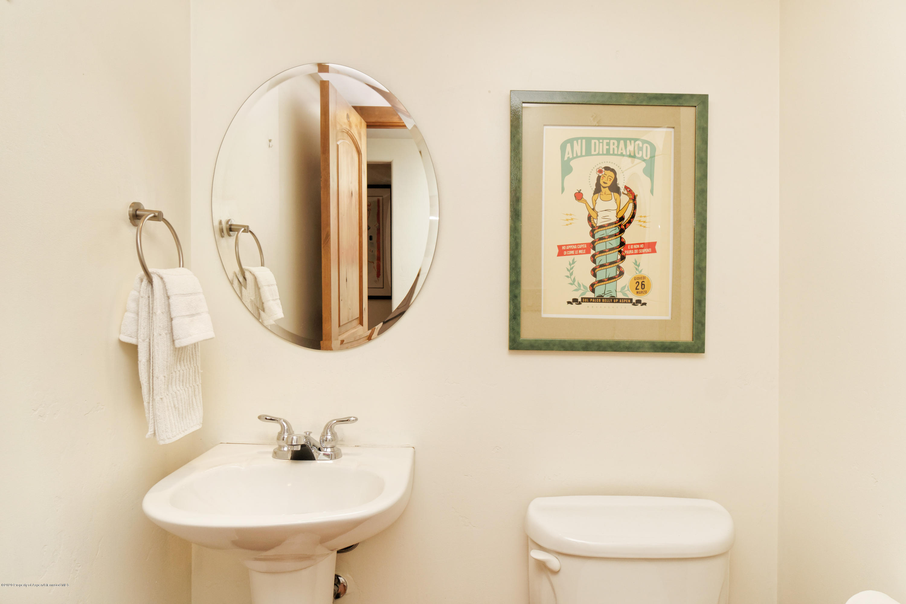 630 E Cooper Avenue Aspen CO 81611