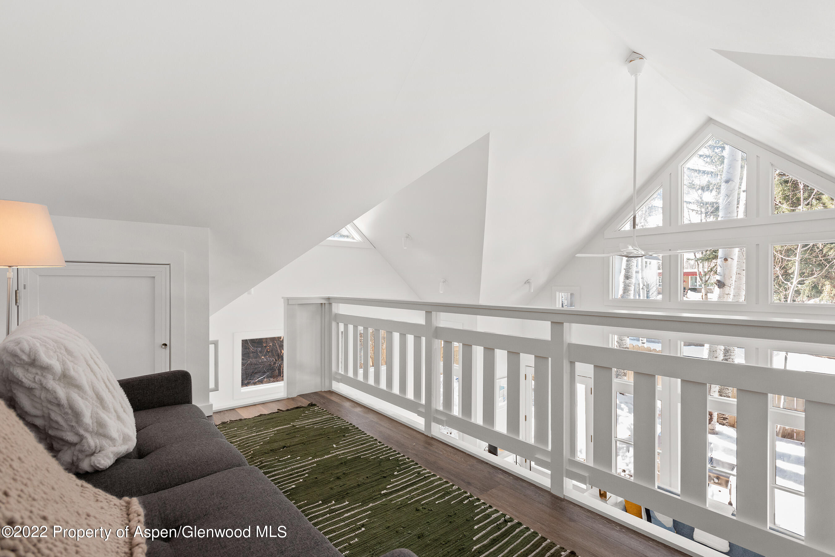 135 W Francis Street Aspen CO 81611