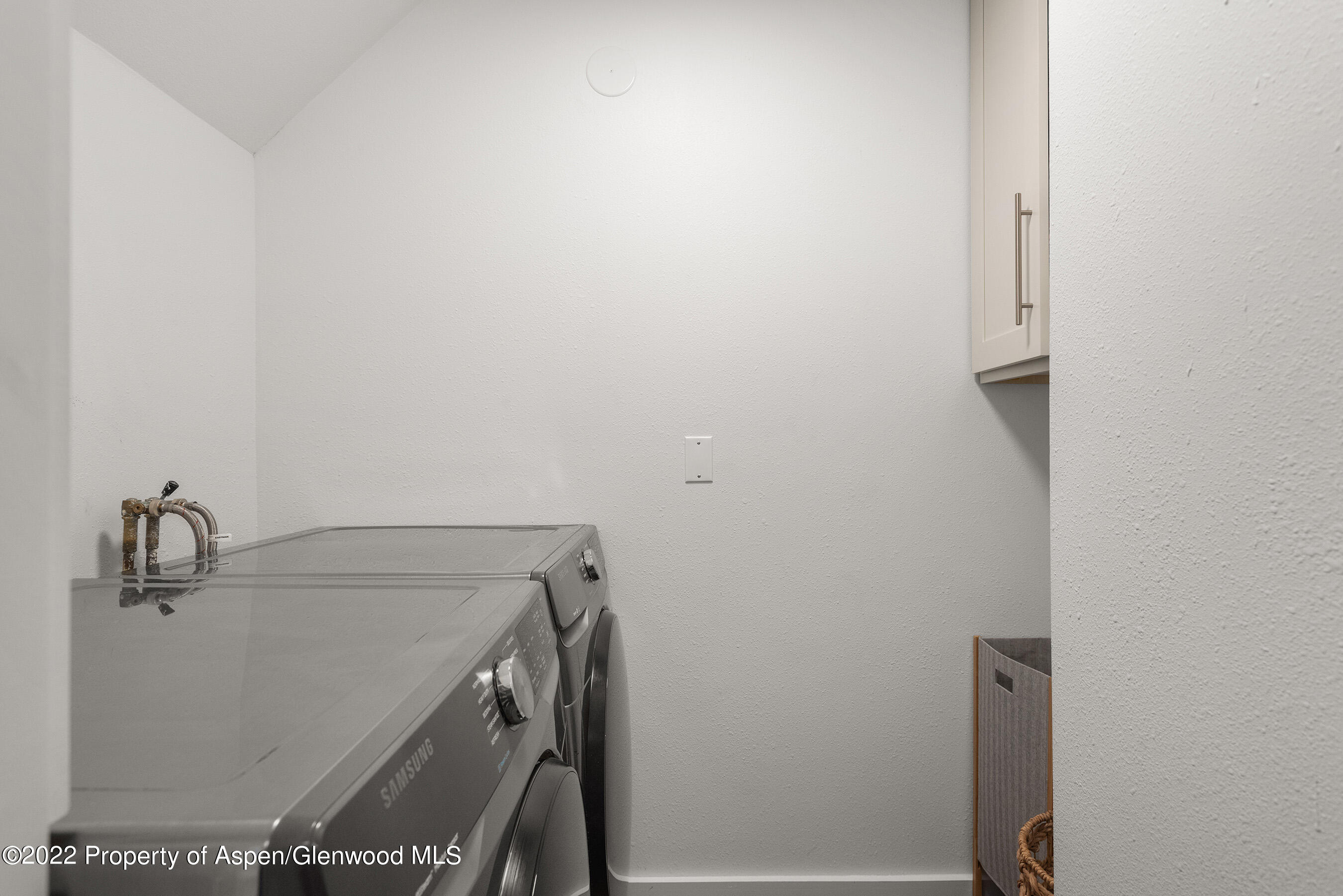 135 W Francis Street Aspen CO 81611