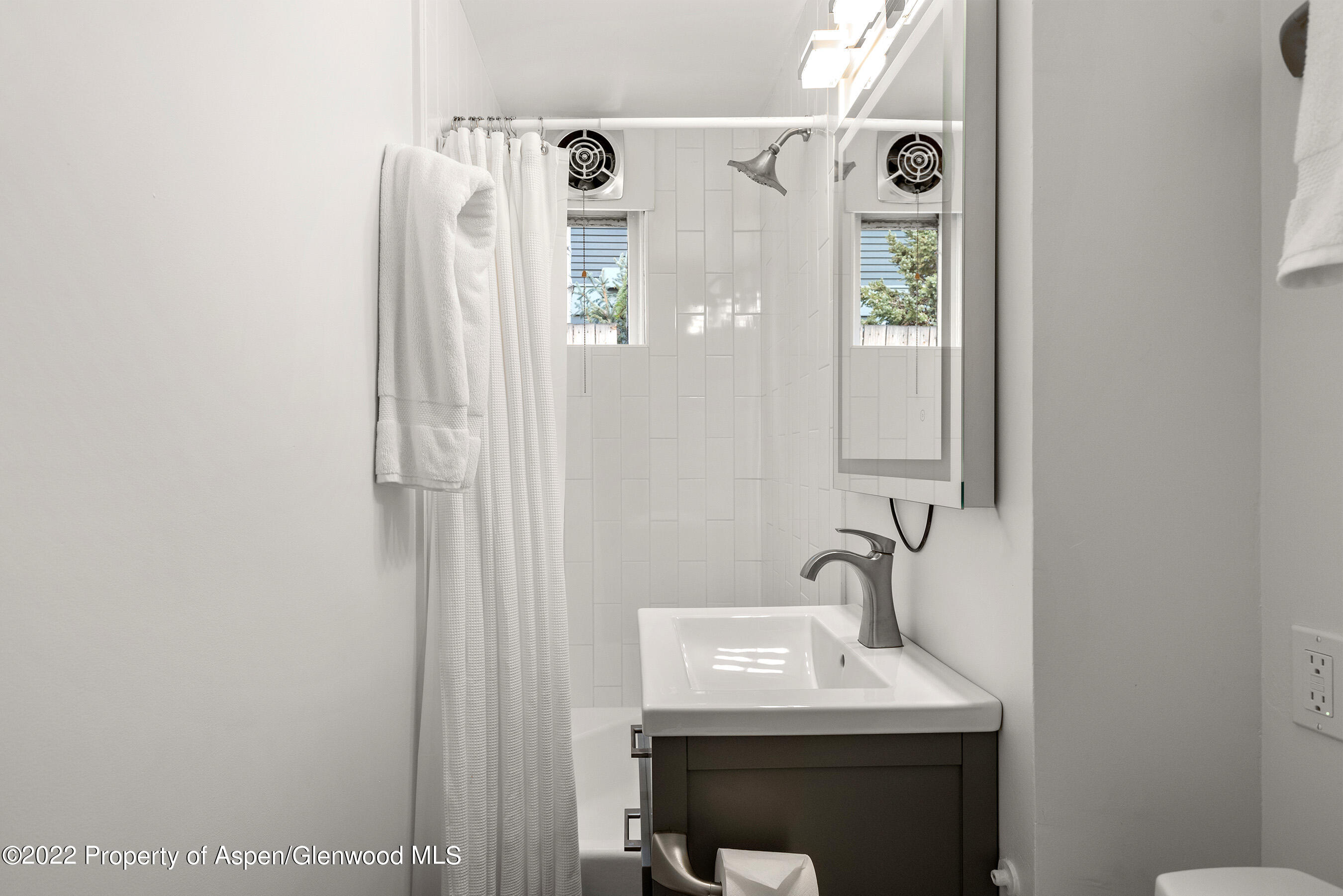 135 W Francis Street Aspen CO 81611