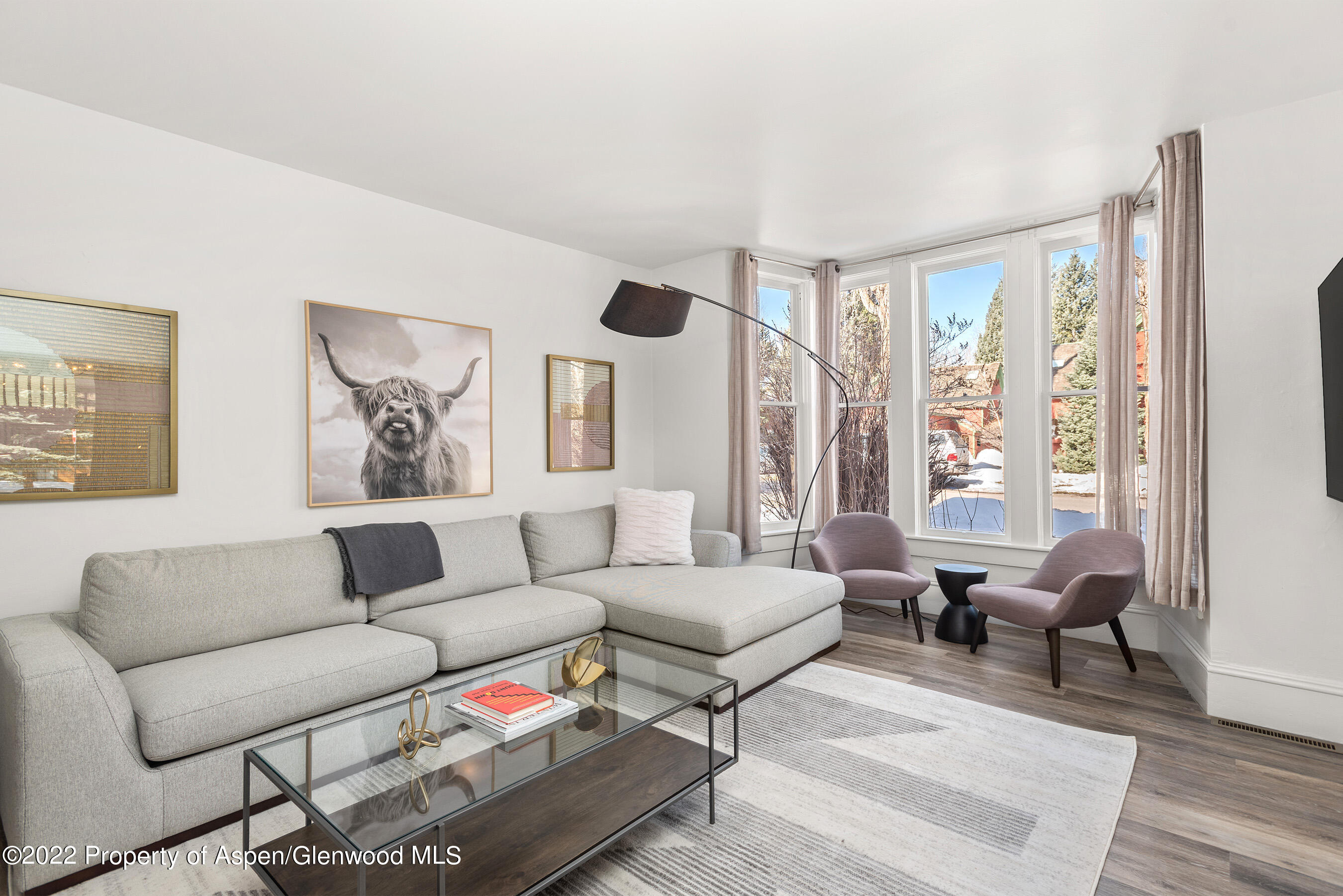 135 W Francis Street Aspen CO 81611