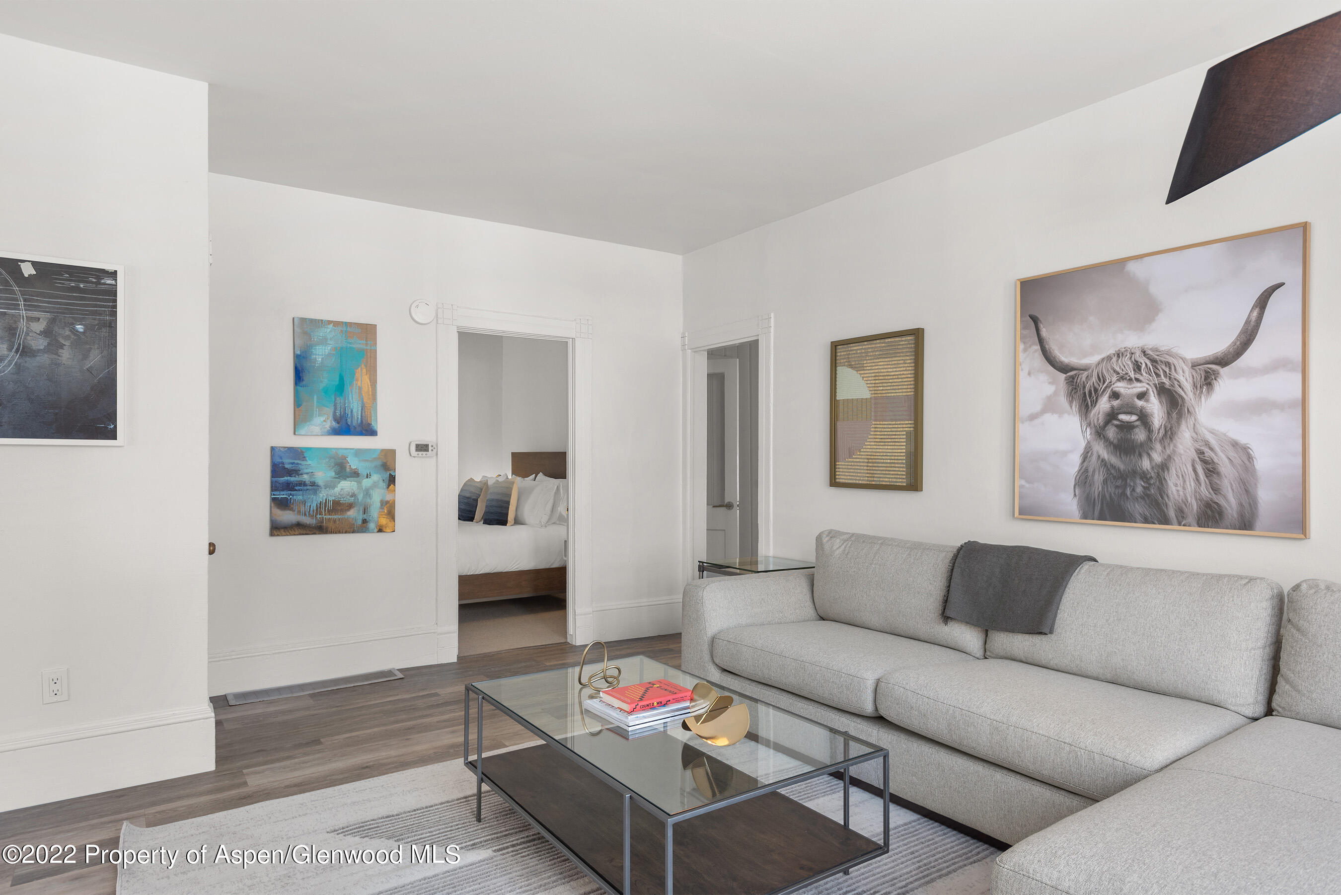 135 W Francis Street Aspen CO 81611