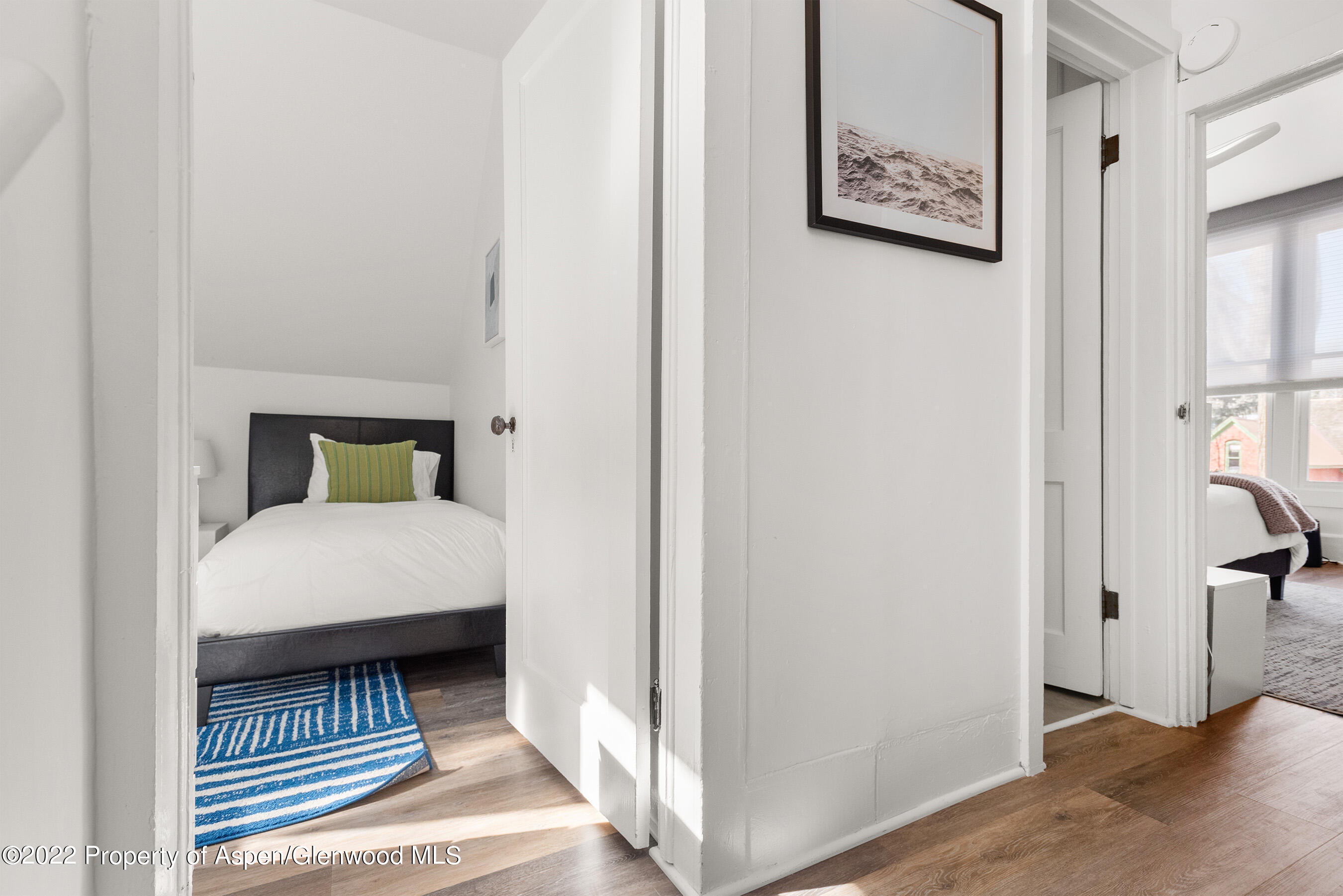 135 W Francis Street Aspen CO 81611