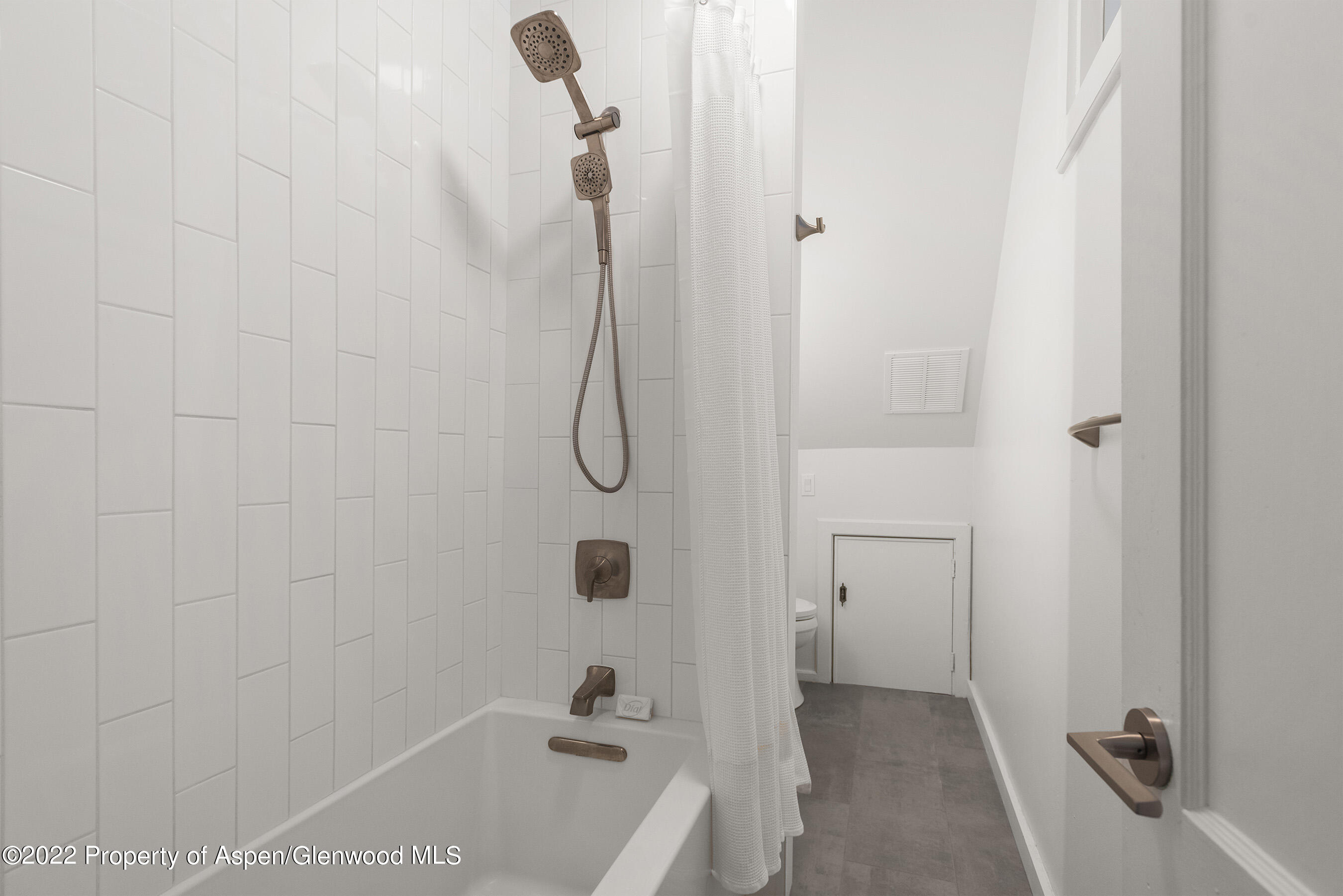 135 W Francis Street Aspen CO 81611