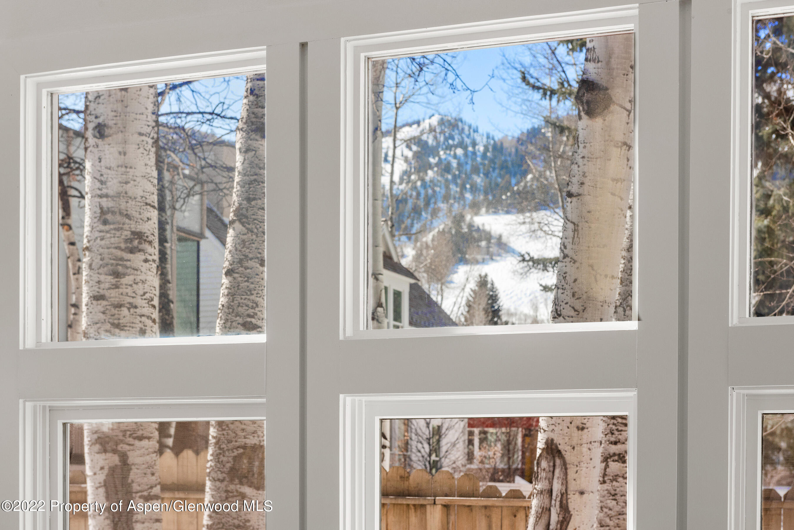 135 W Francis Street Aspen CO 81611