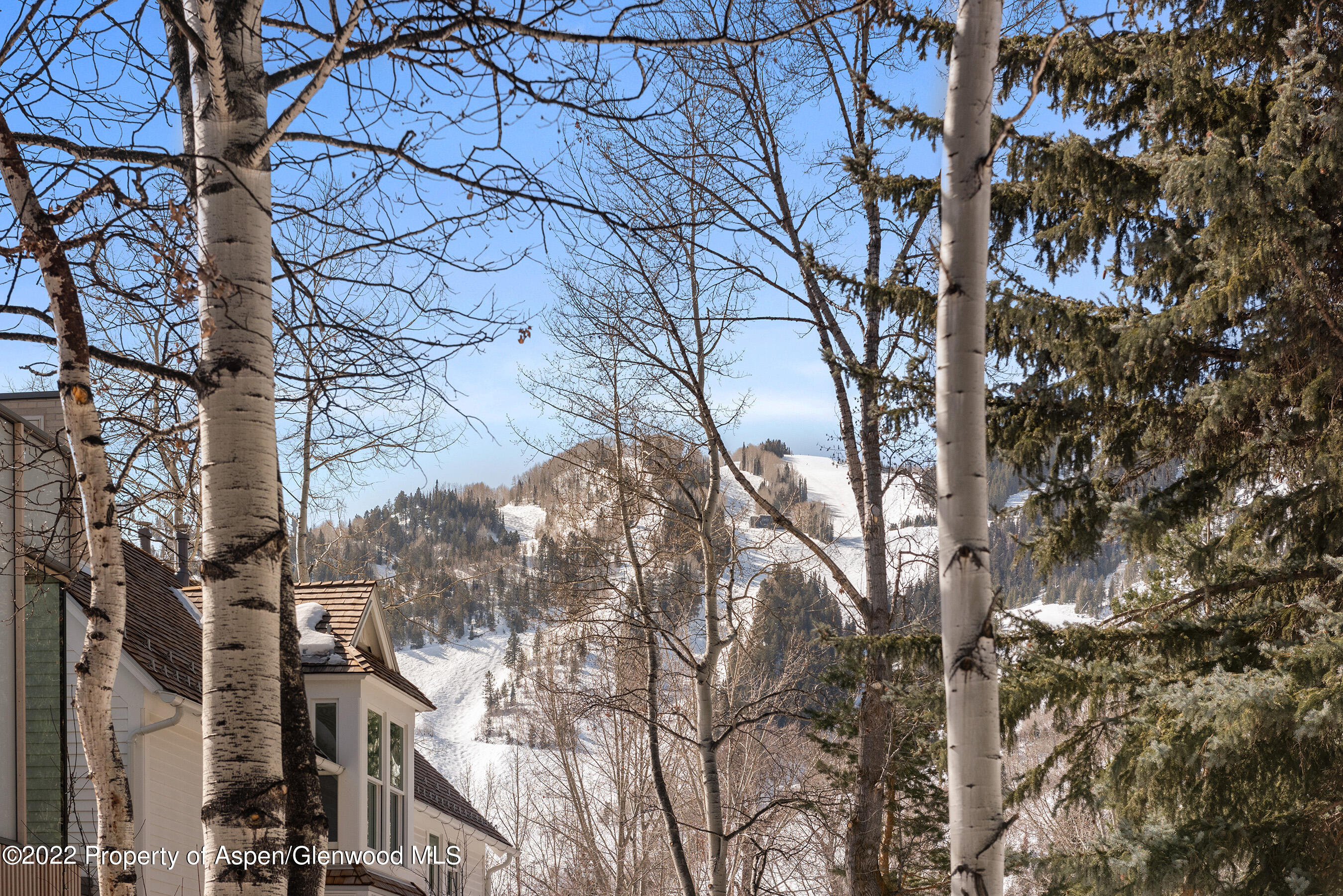 135 W Francis Street Aspen CO 81611