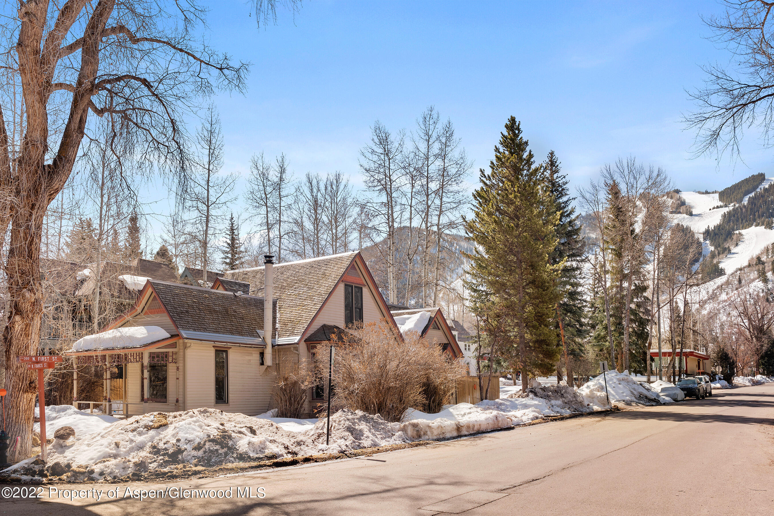 135 W Francis Street Aspen CO 81611