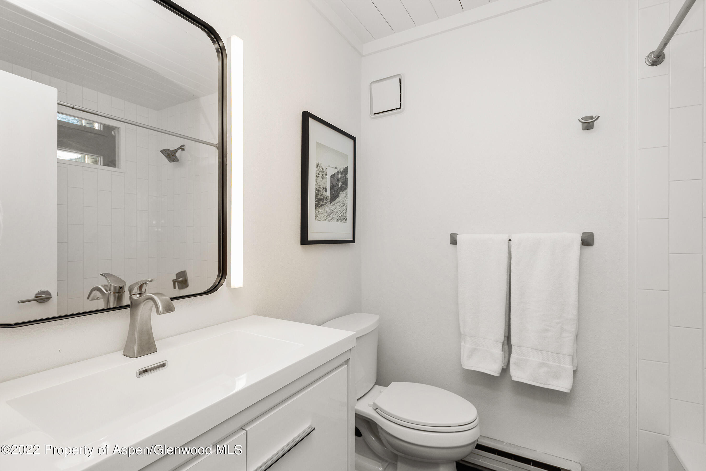 135 W Francis Street Aspen CO 81611