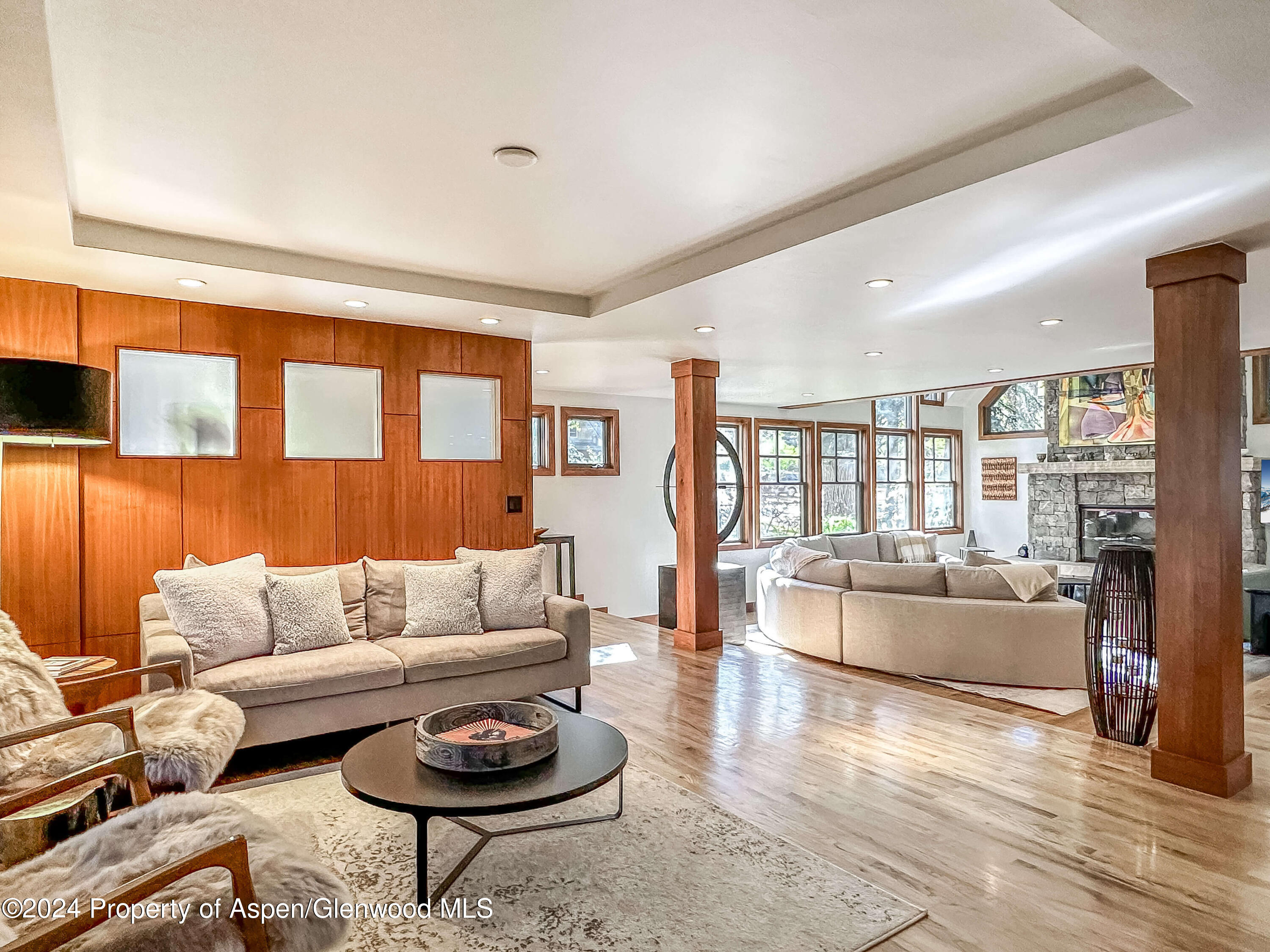 602 W Hallam Street Aspen CO 81611