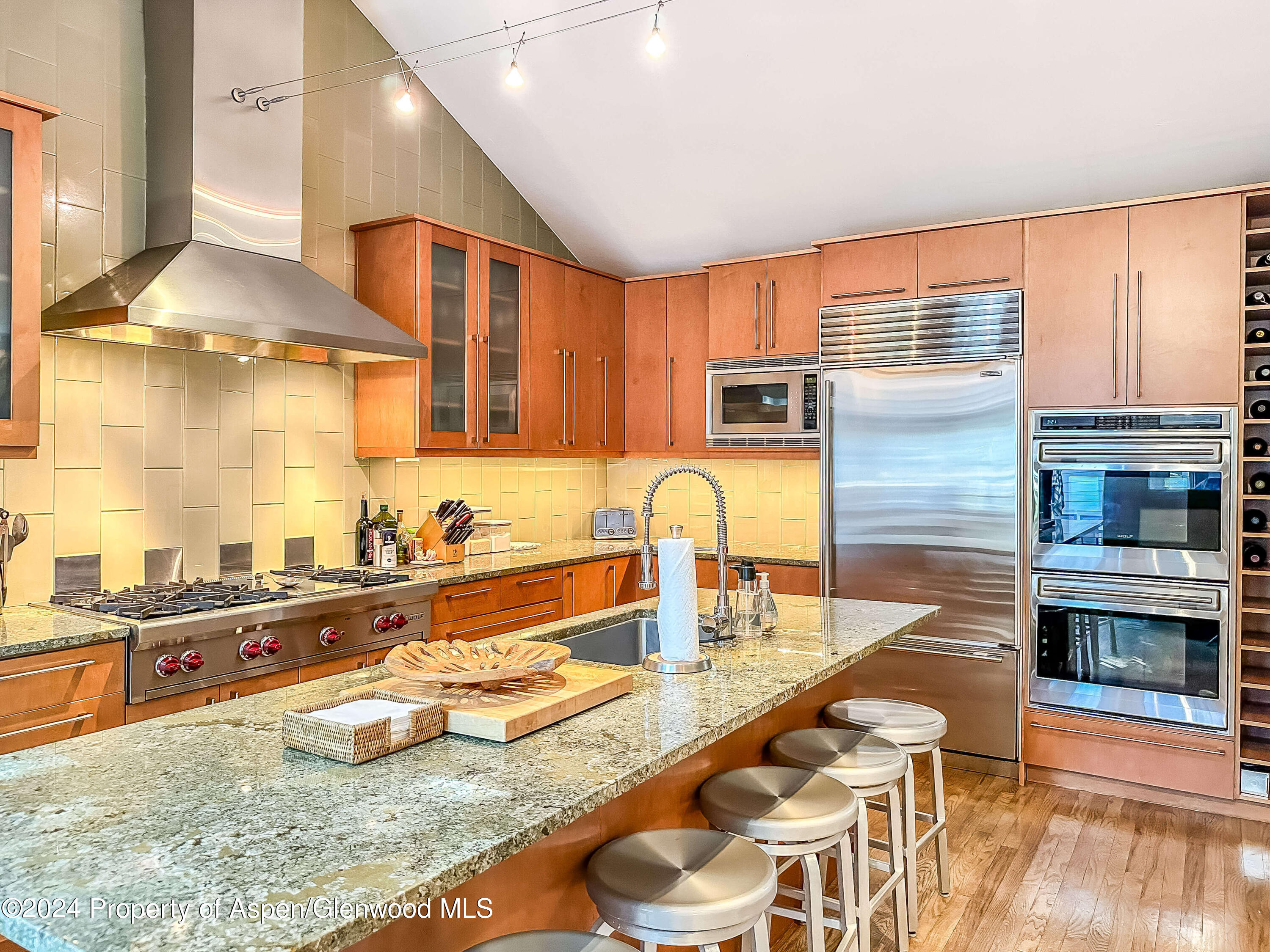 602 W Hallam Street Aspen CO 81611