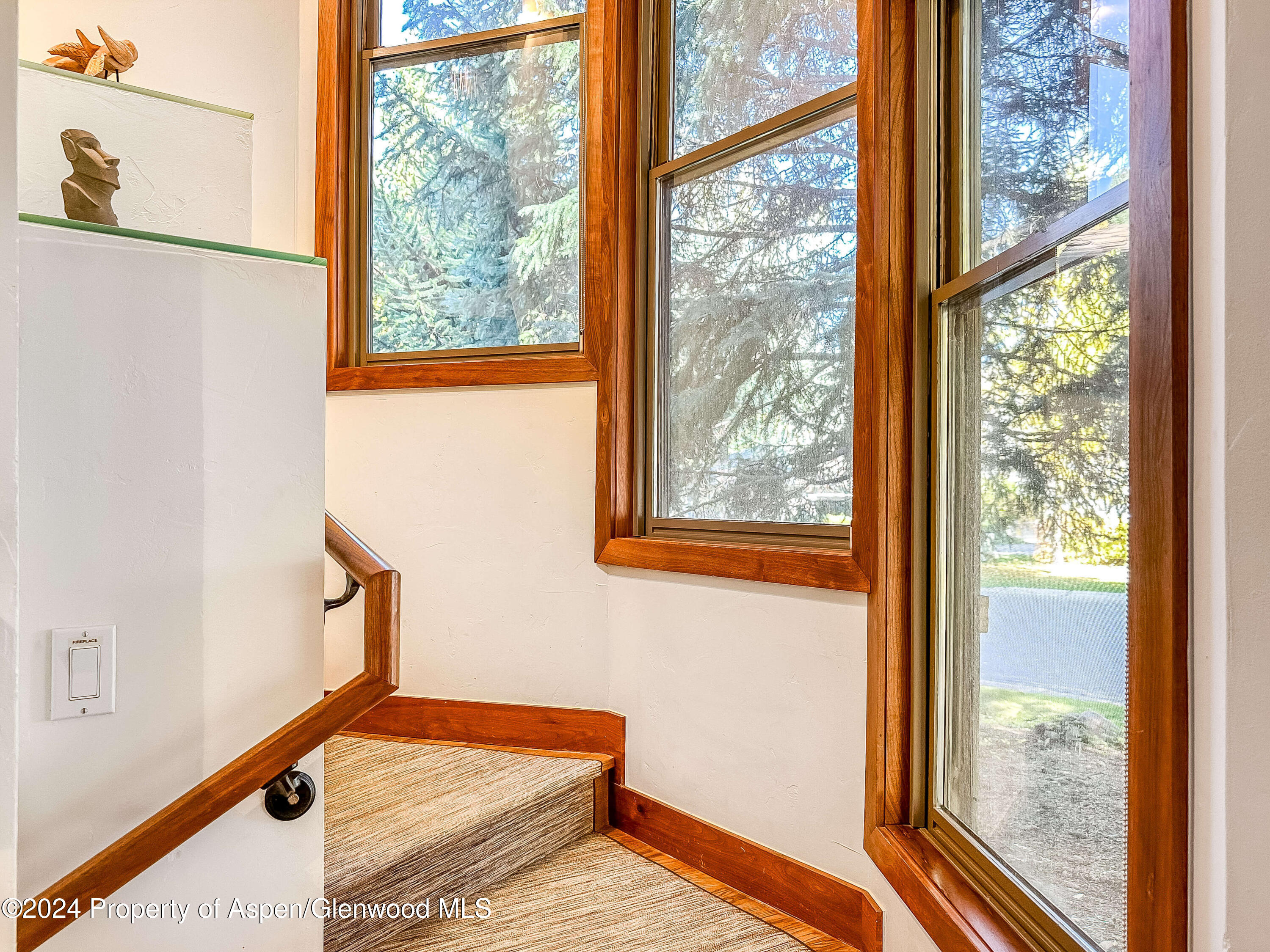 602 W Hallam Street Aspen CO 81611