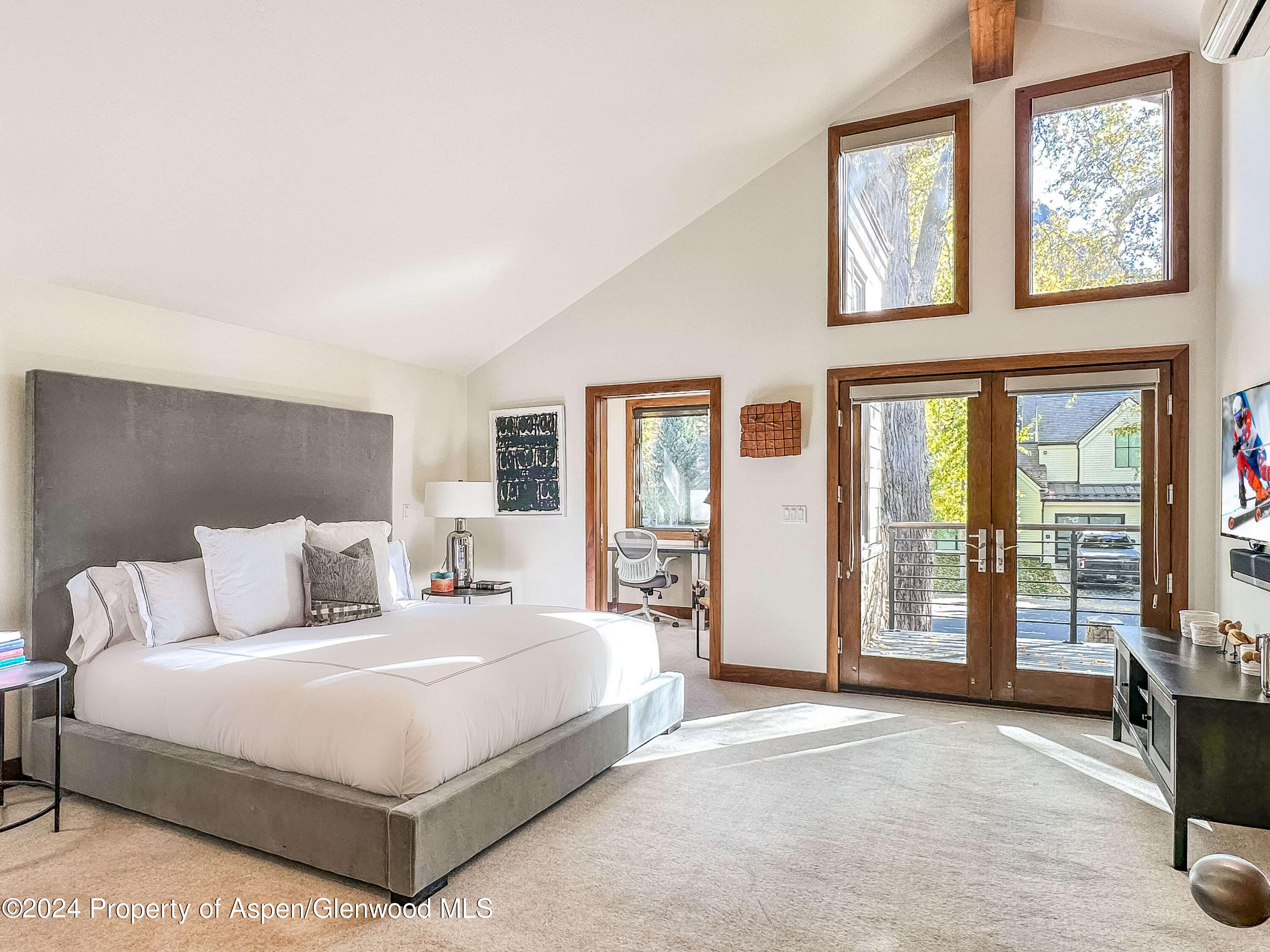 602 W Hallam Street Aspen CO 81611